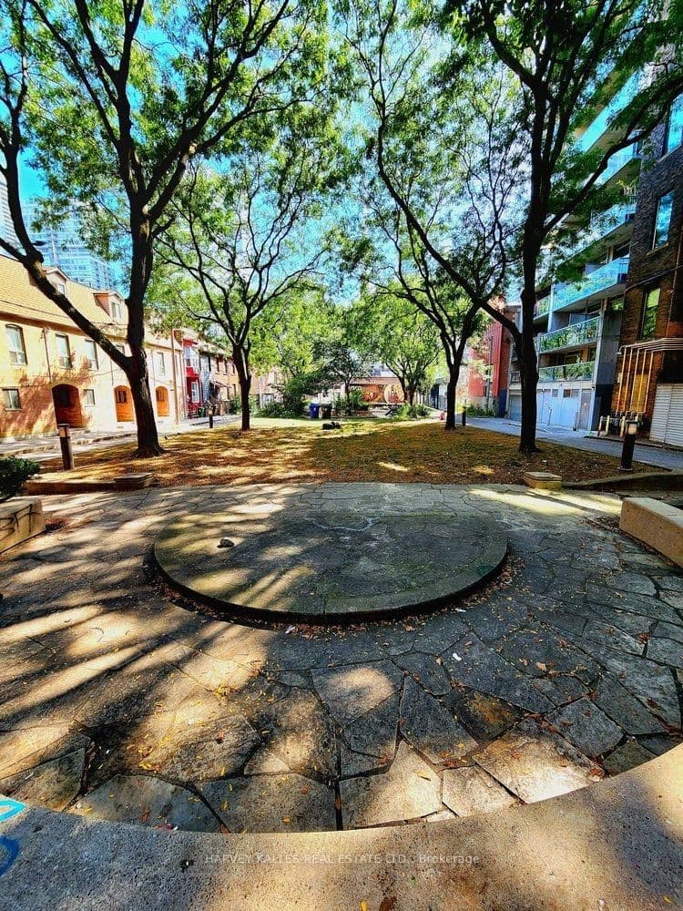11 Saint Patricks Square, Unit 2 thumbnail 5