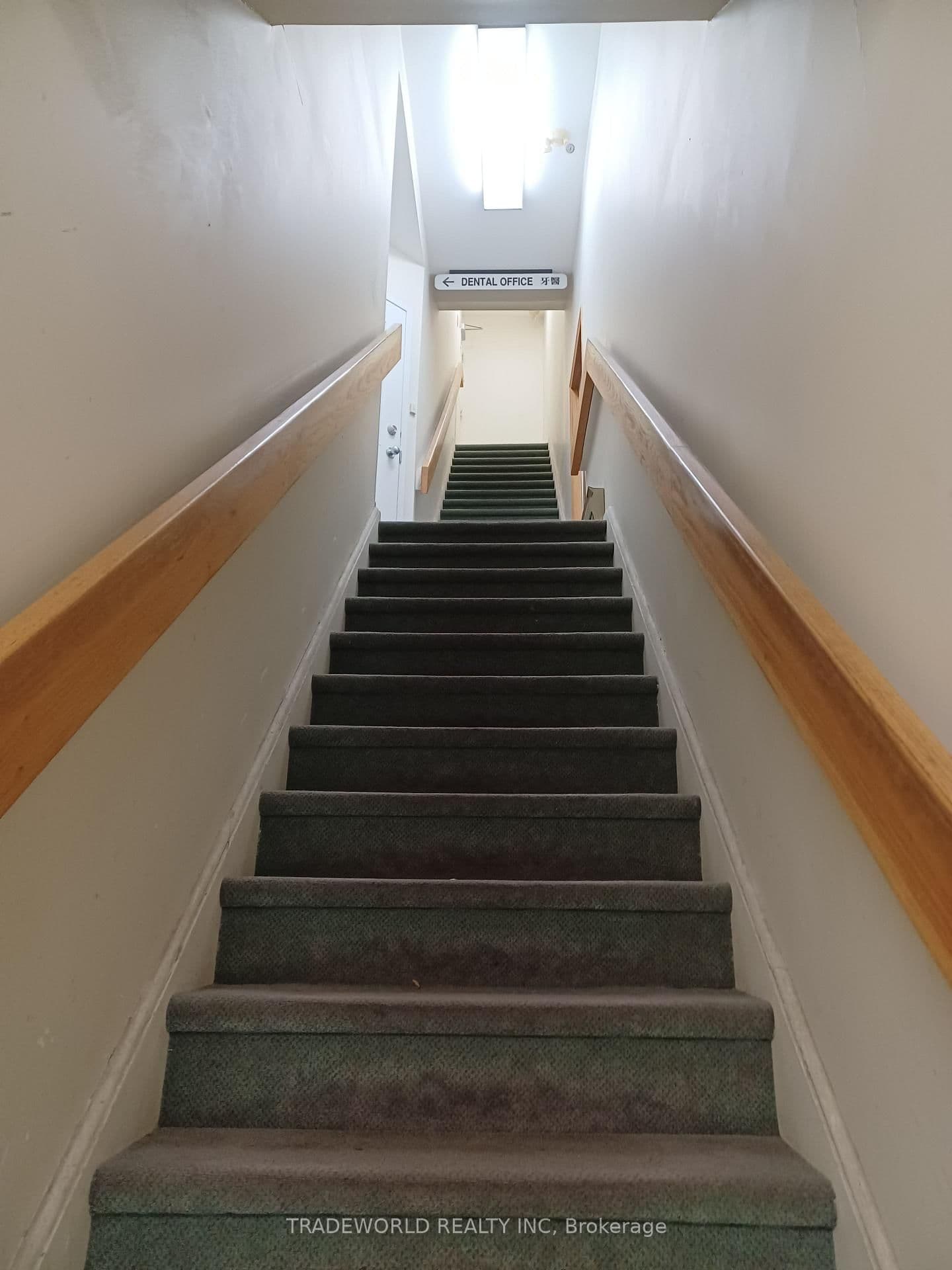 110 Beverley Street thumbnail 4
