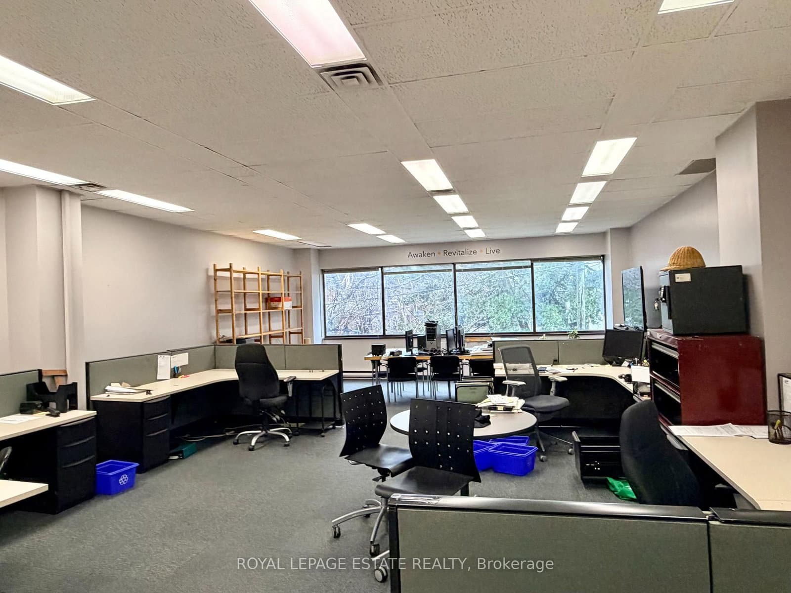 124 Merton Street, Unit 202 thumbnail 4