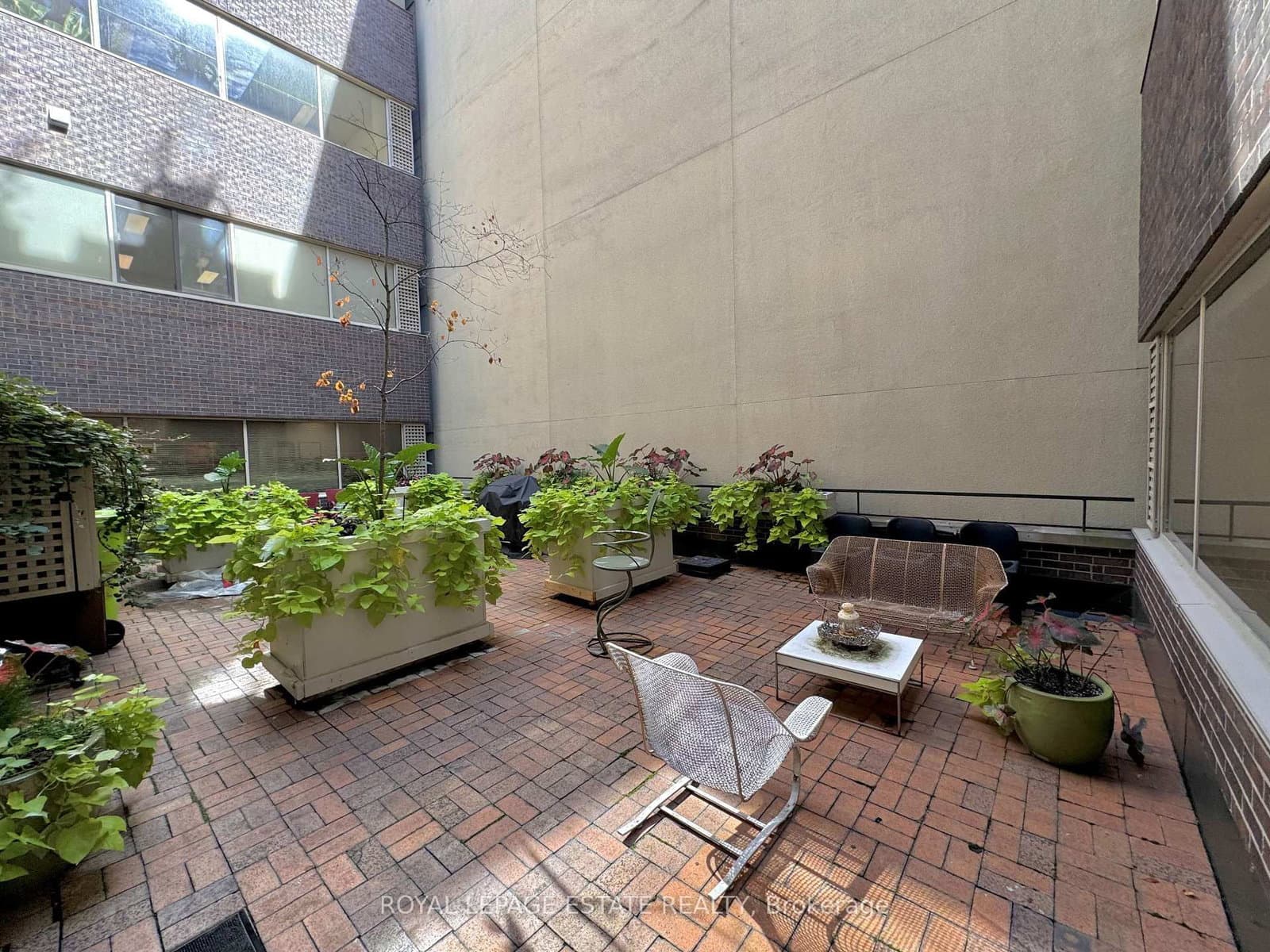 124 Merton Street, Unit 509 thumbnail 19