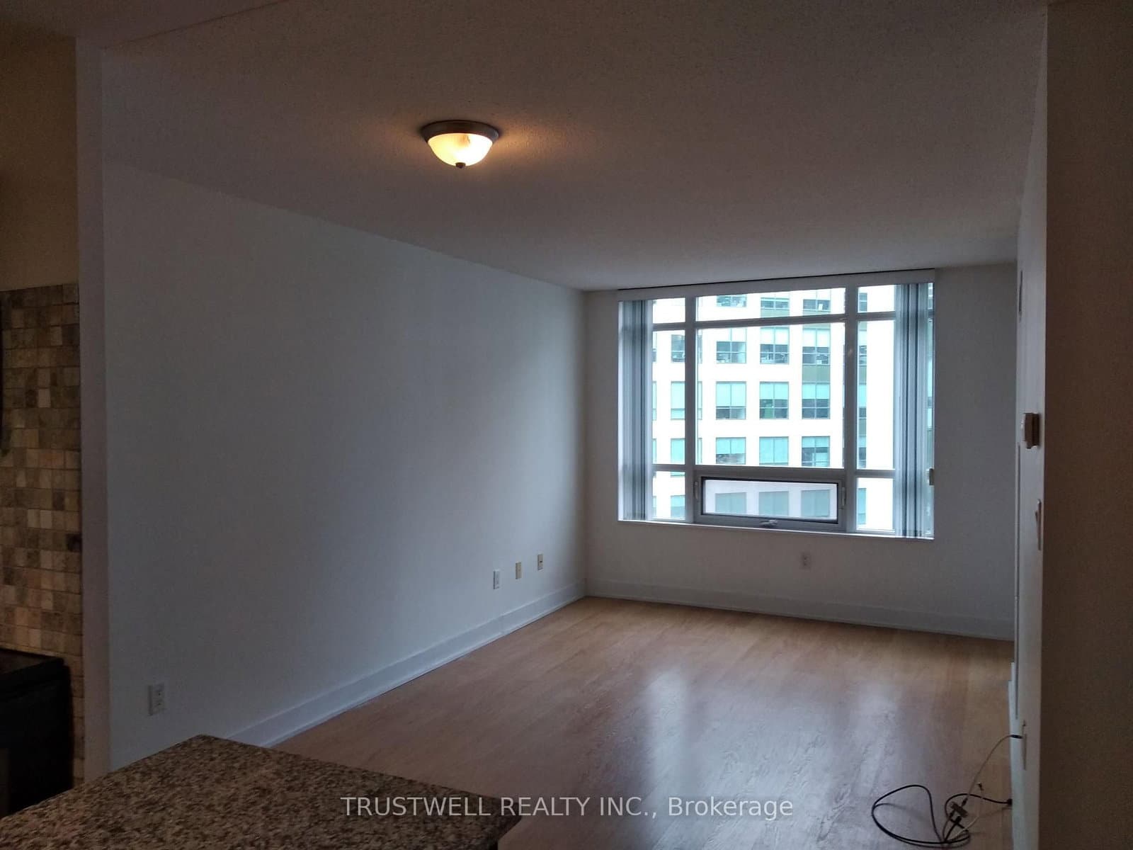 20 Blue Jays Way, Unit 1409 thumbnail 6