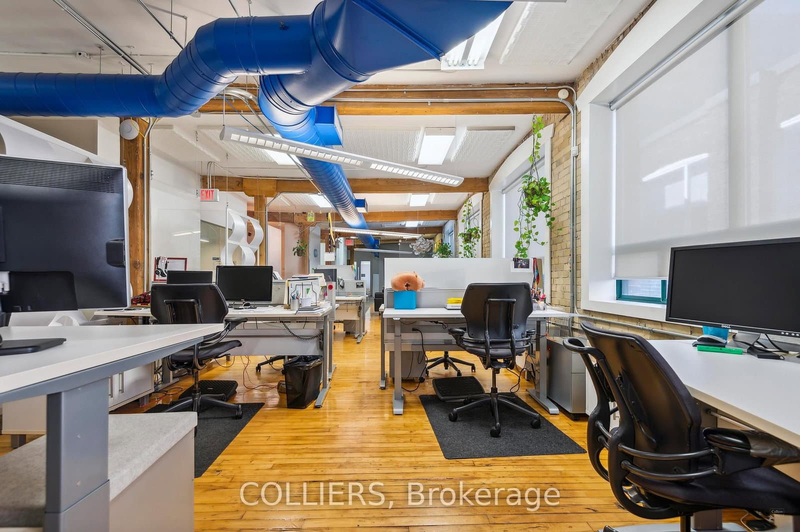 282 Richmond Street E, Unit 300 thumbnail 5