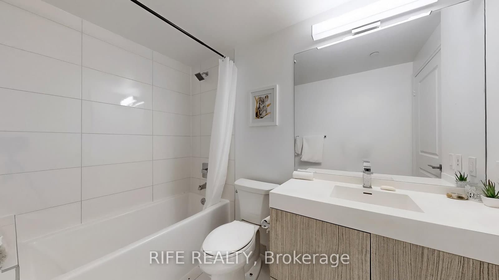 251 Jarvis Street, Unit 830 thumbnail 23