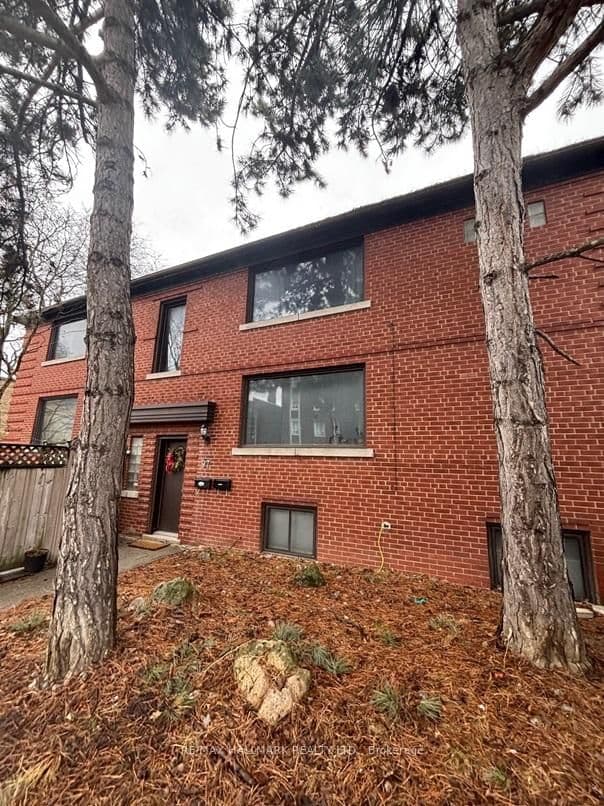 97 Oriole Parkway thumbnail 23