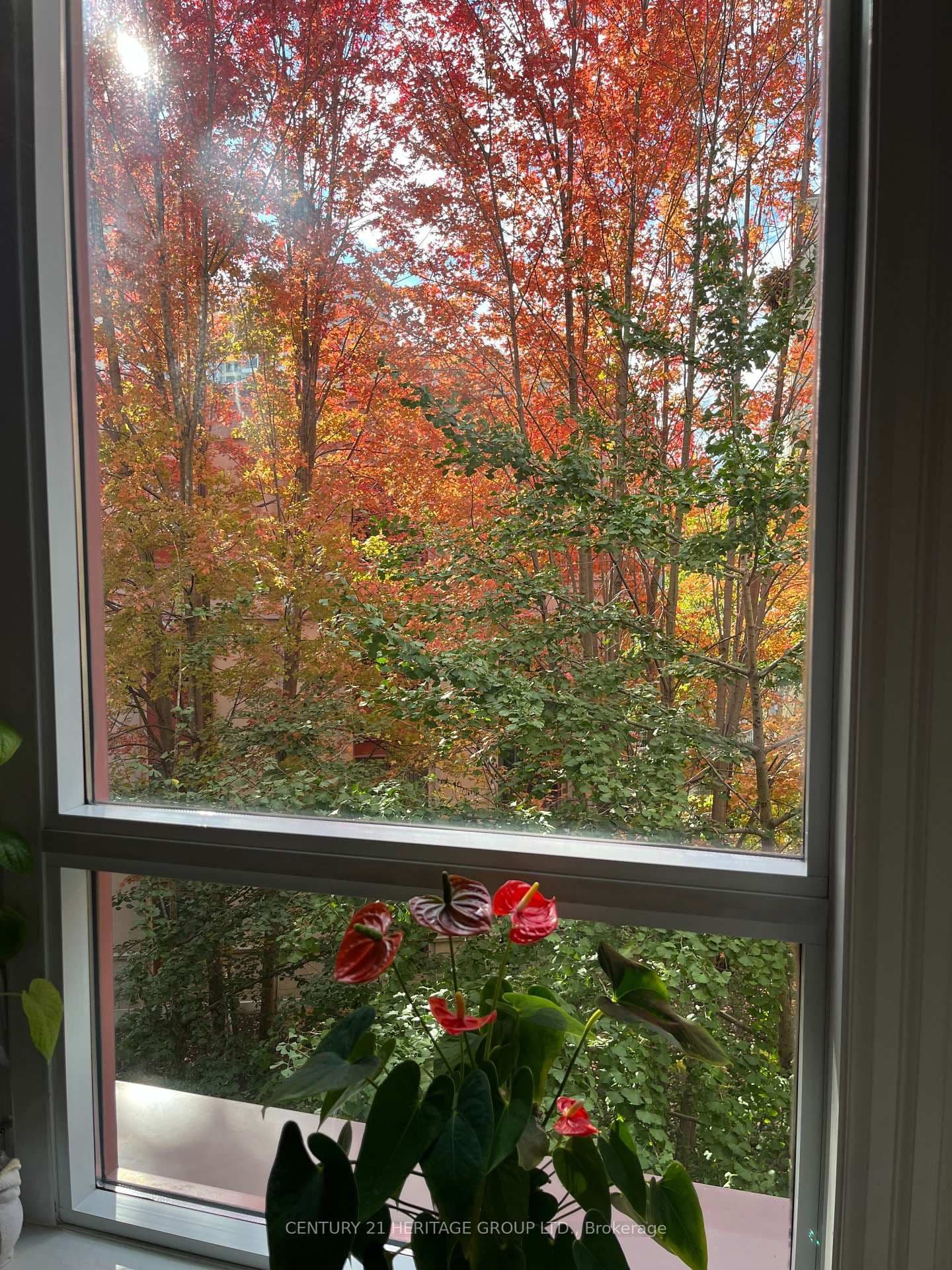 23 Rean Drive, Unit 309 thumbnail 28