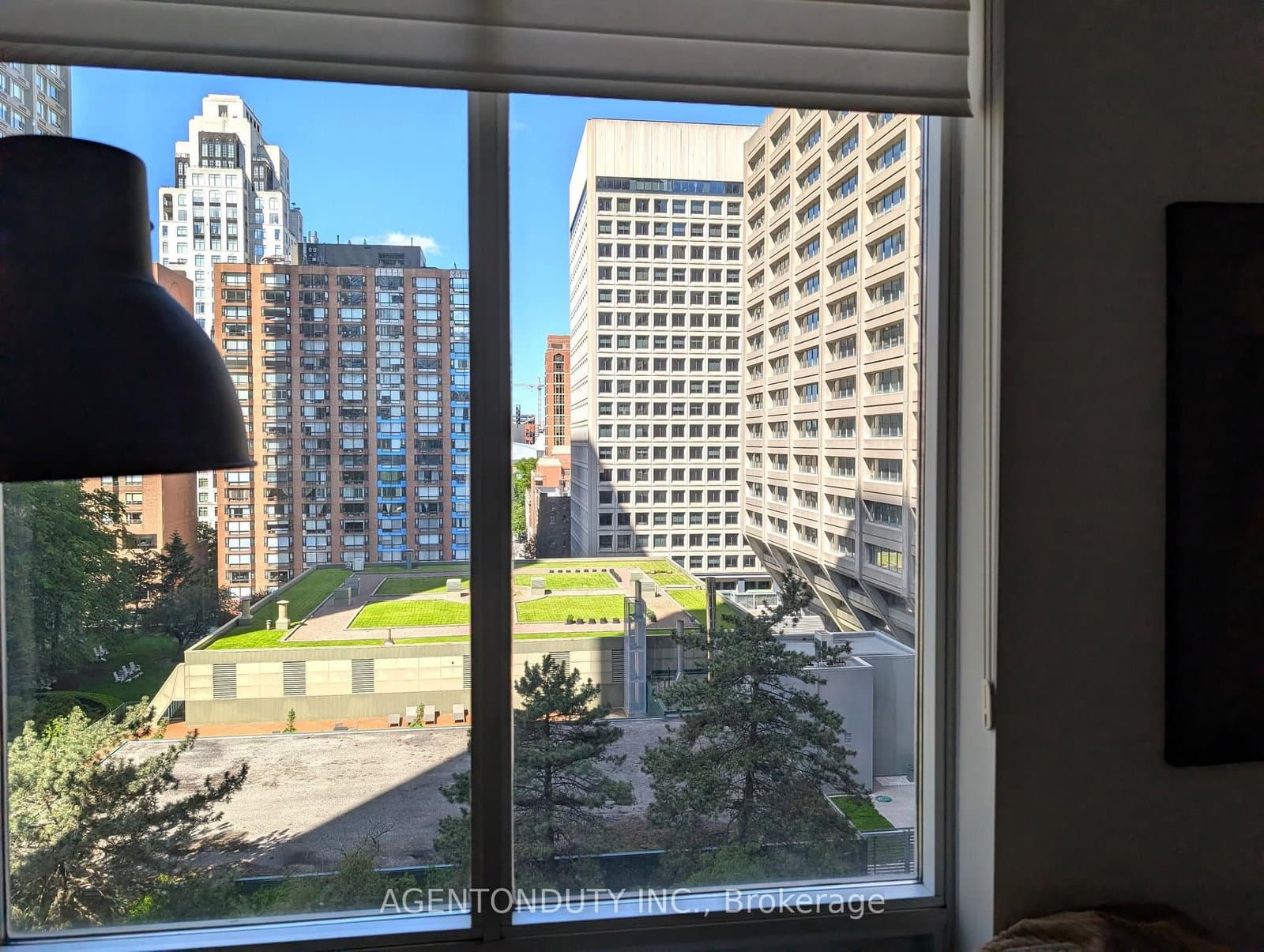 35 Balmuto Street, Unit 1009 thumbnail 4
