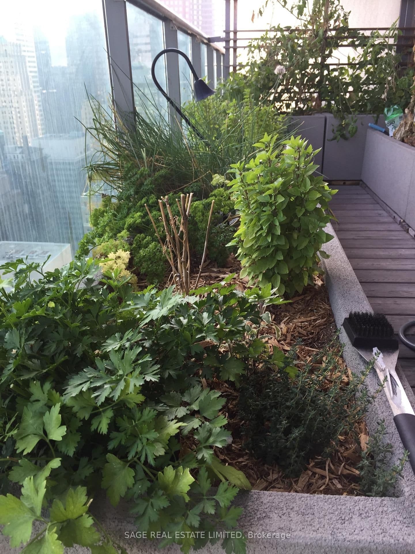 33 Lombard Street, Unit 4004 thumbnail 32
