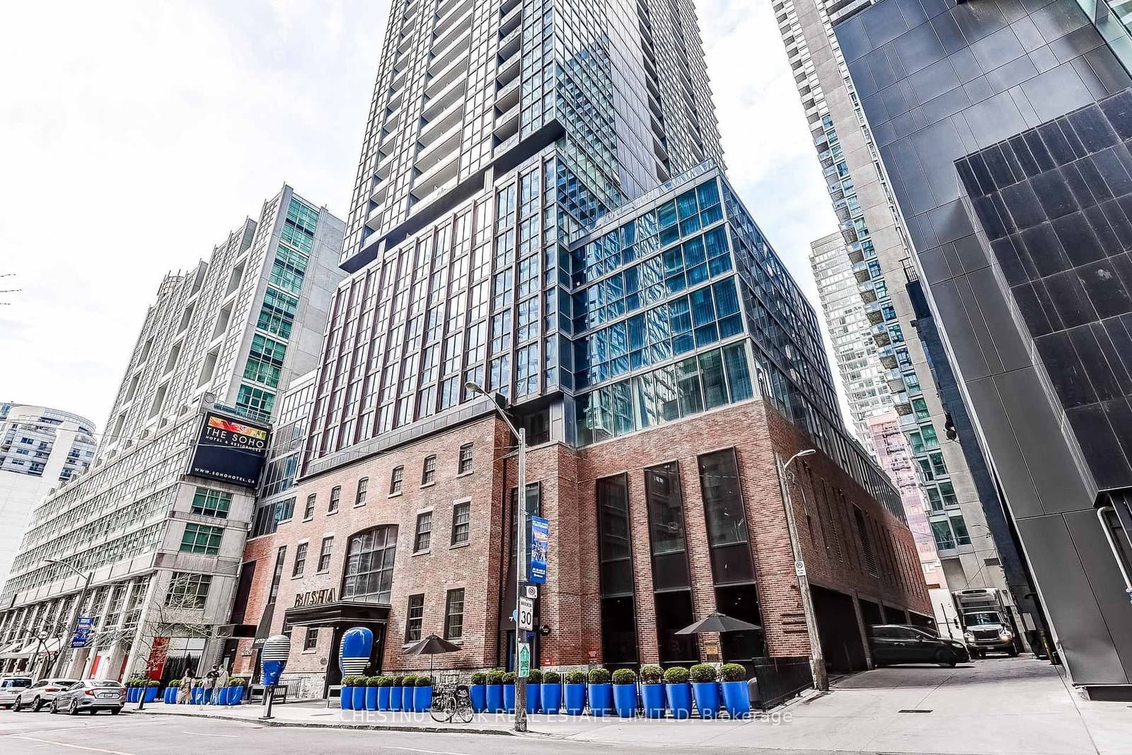 88 Blue Jays Way, Unit 4005 thumbnail 31