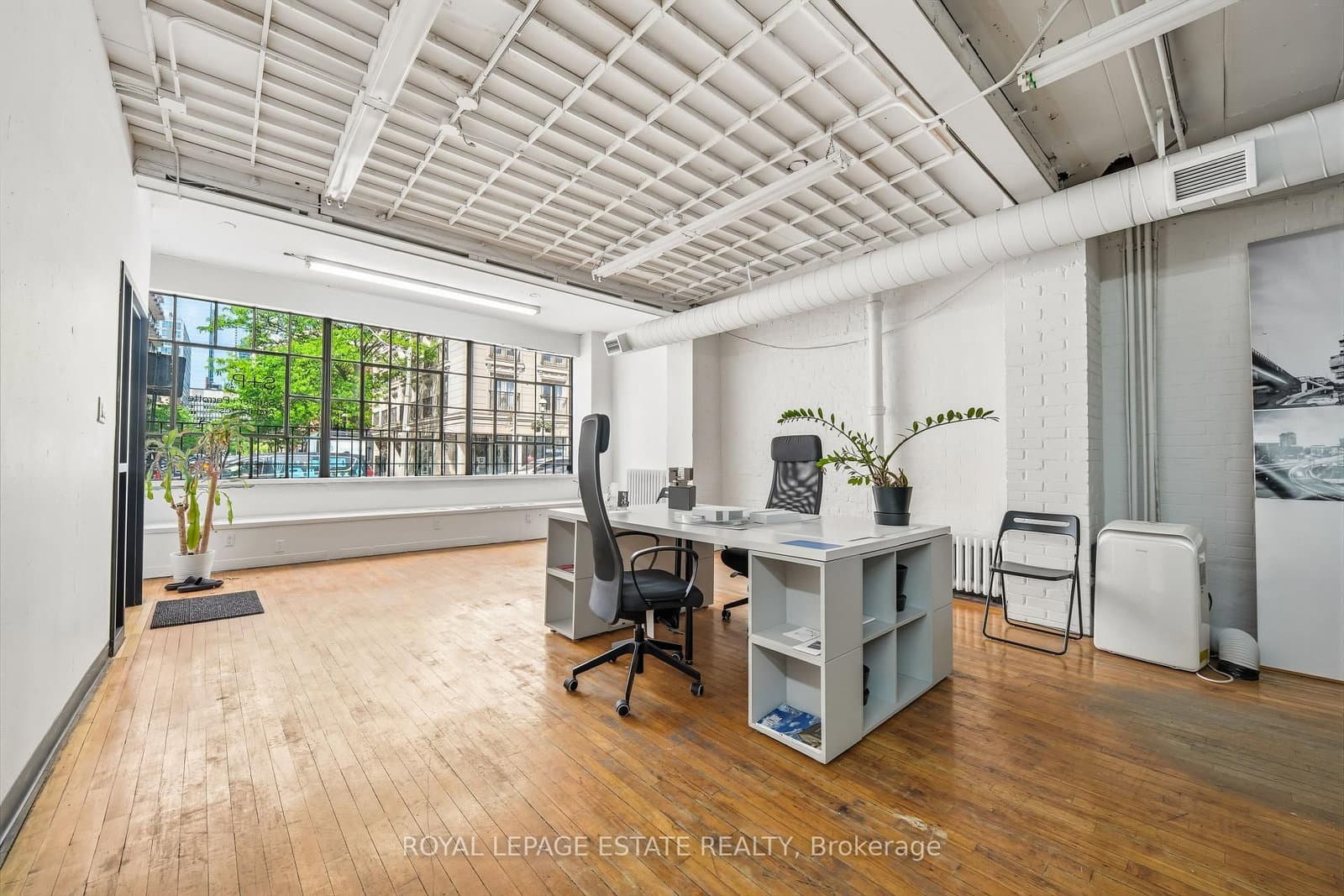 113 Jarvis Street thumbnail 14