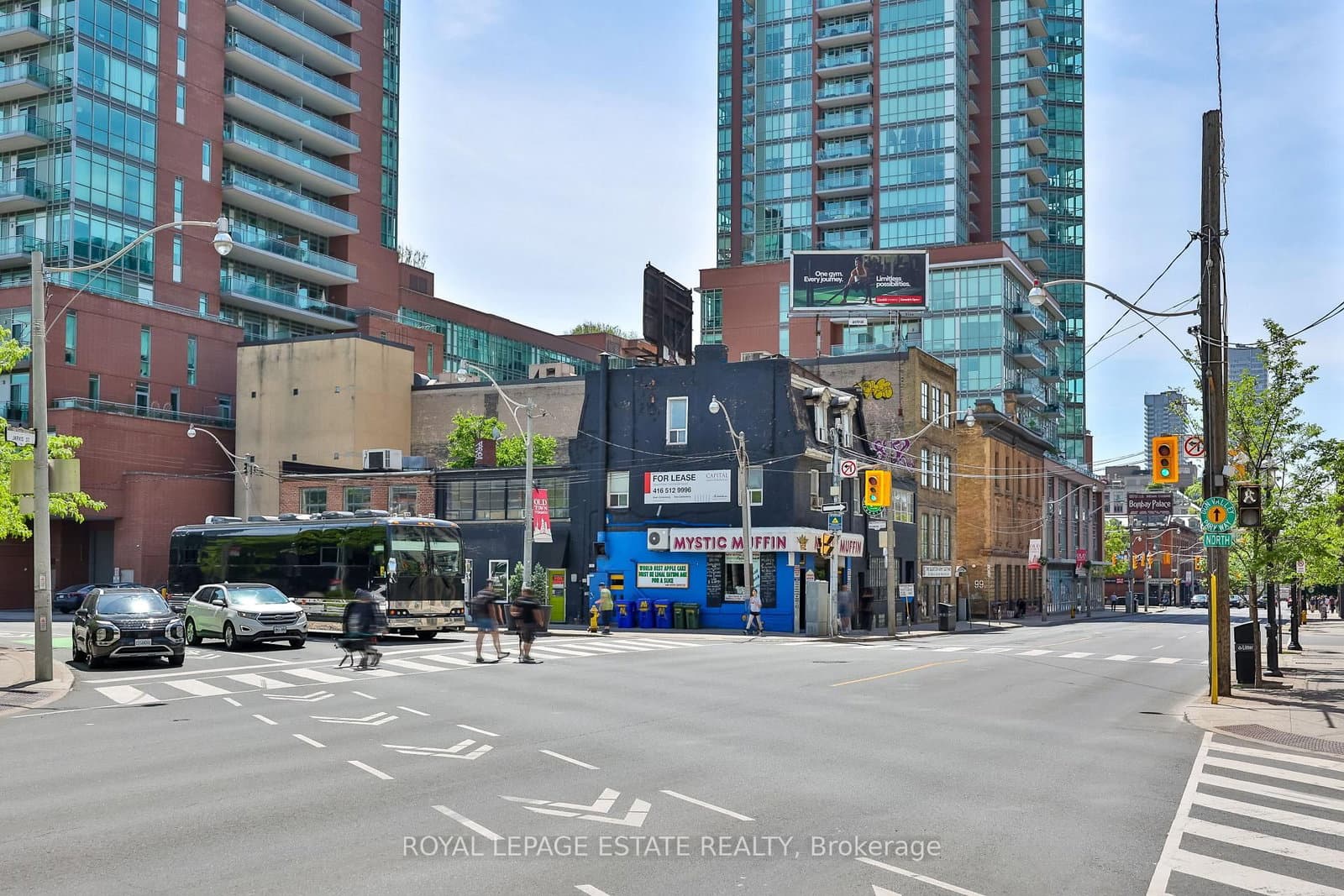 113 Jarvis Street thumbnail 19