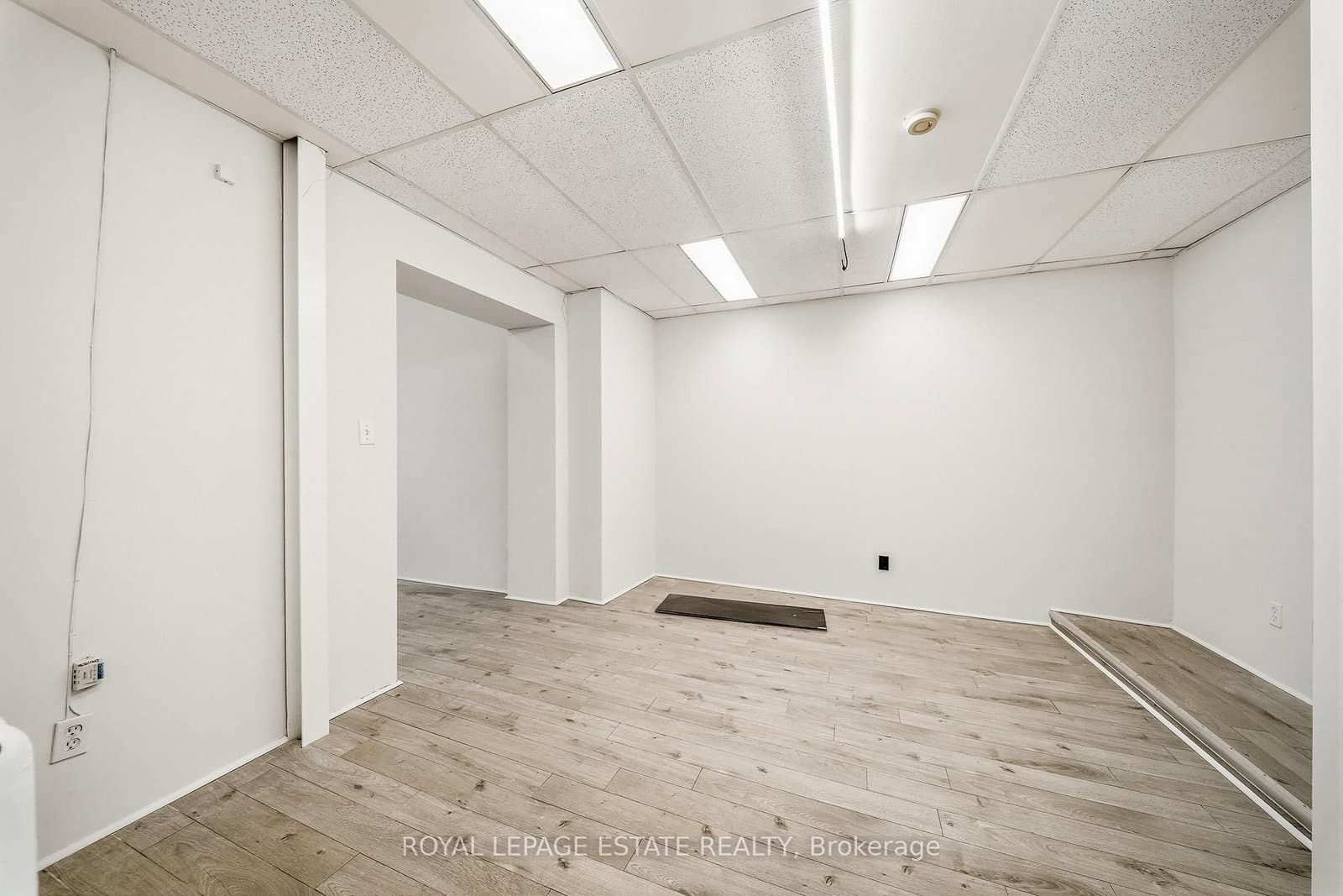 113 Jarvis Street thumbnail 7