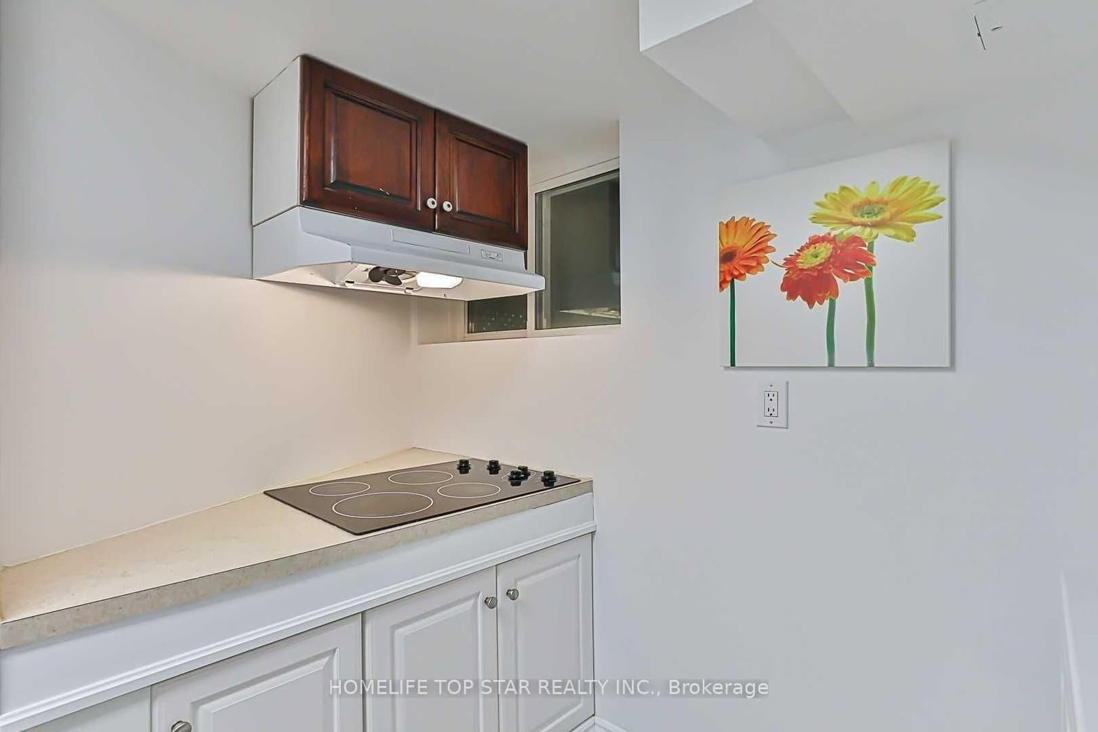209 W Connaught Avenue, Unit Basement thumbnail 9
