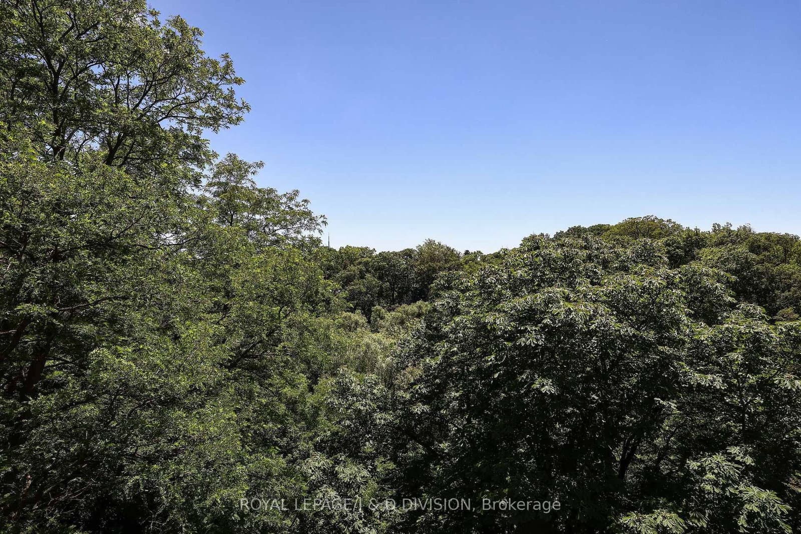 407 Walmer Road, Unit 401 thumbnail 29