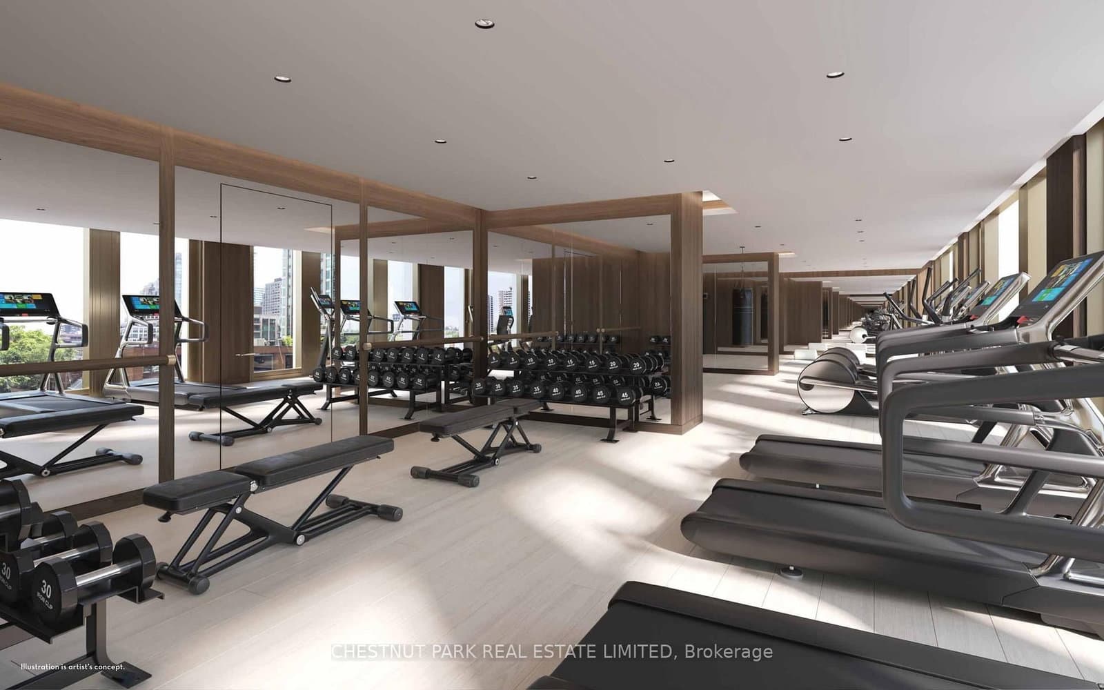 1315 Bay Street, Unit 504 thumbnail 27