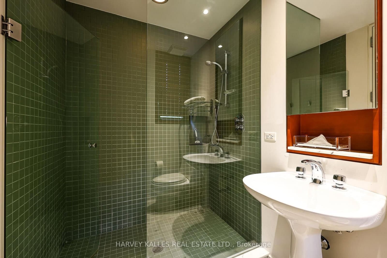 36 Millbank Avenue thumbnail 33
