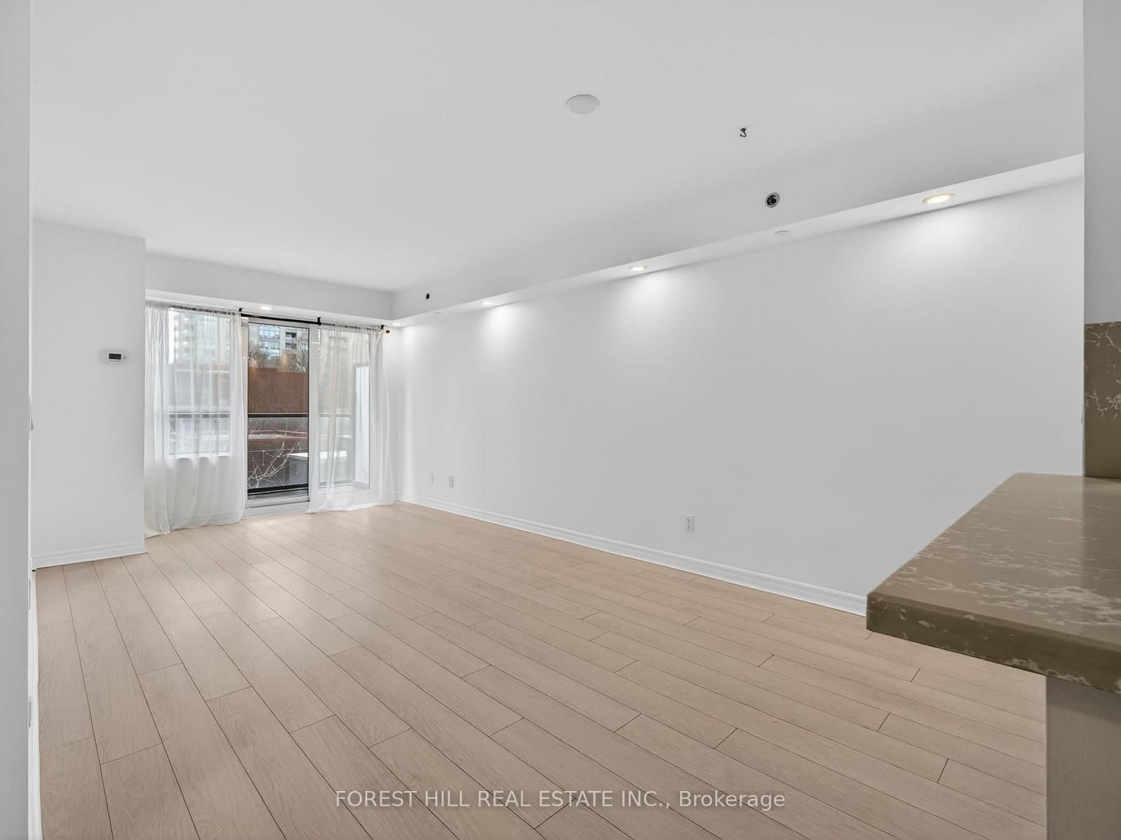 35 Saranac Boulevard, Unit 224 thumbnail 11