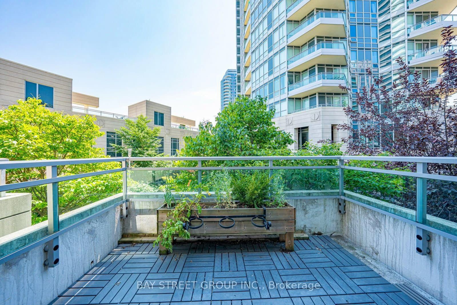 31 Olive Avenue, Unit 221 thumbnail 9