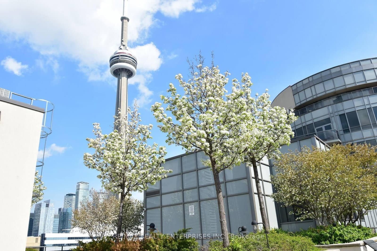 20 Blue Jays Way, Unit 517 thumbnail 31