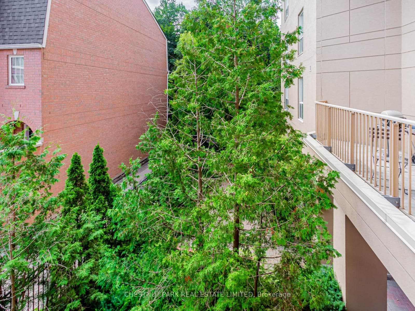 139 Merton Street, Unit 246 thumbnail 20