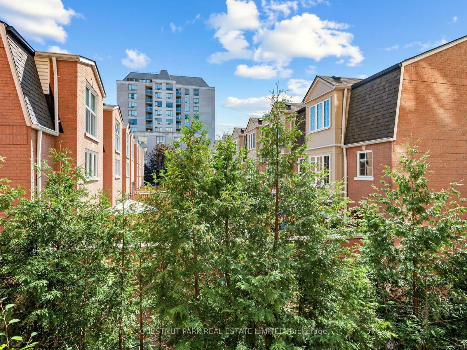 139 Merton Street, Unit 246 thumbnail 21