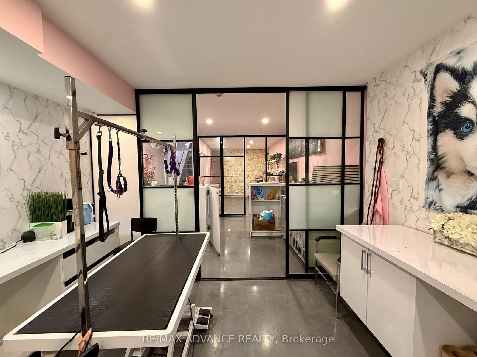 642 Queen Street W, Unit Bsmt thumbnail 3