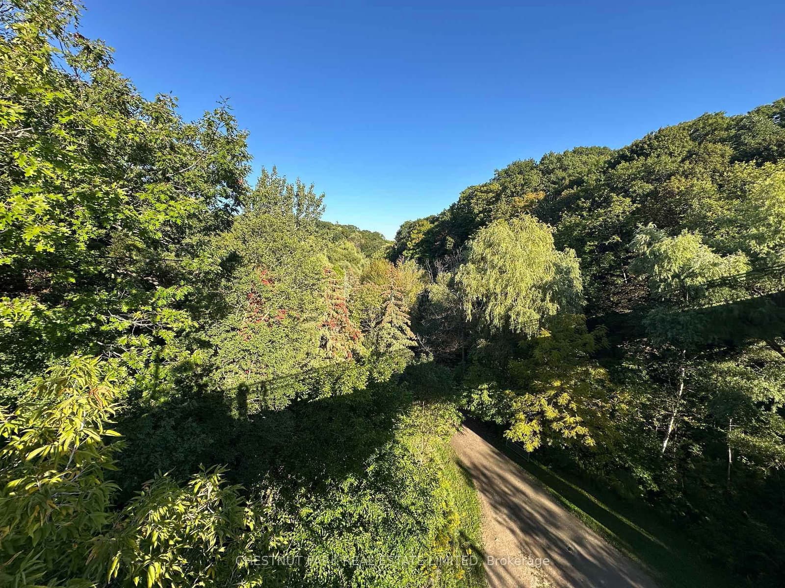 1648 Bathurst Street, Unit 5 thumbnail 34