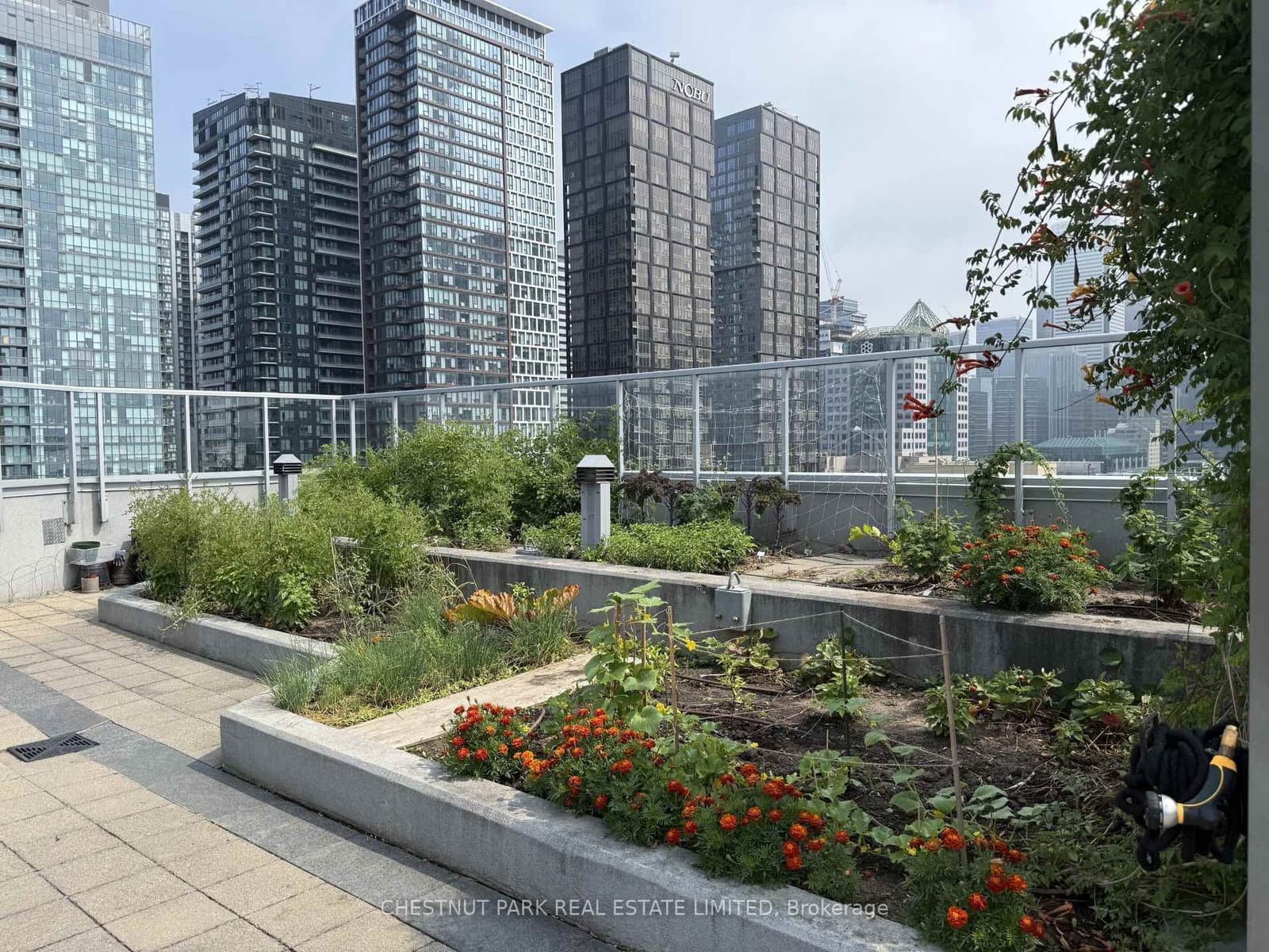 352 Front Street W, Unit 1711 thumbnail 20
