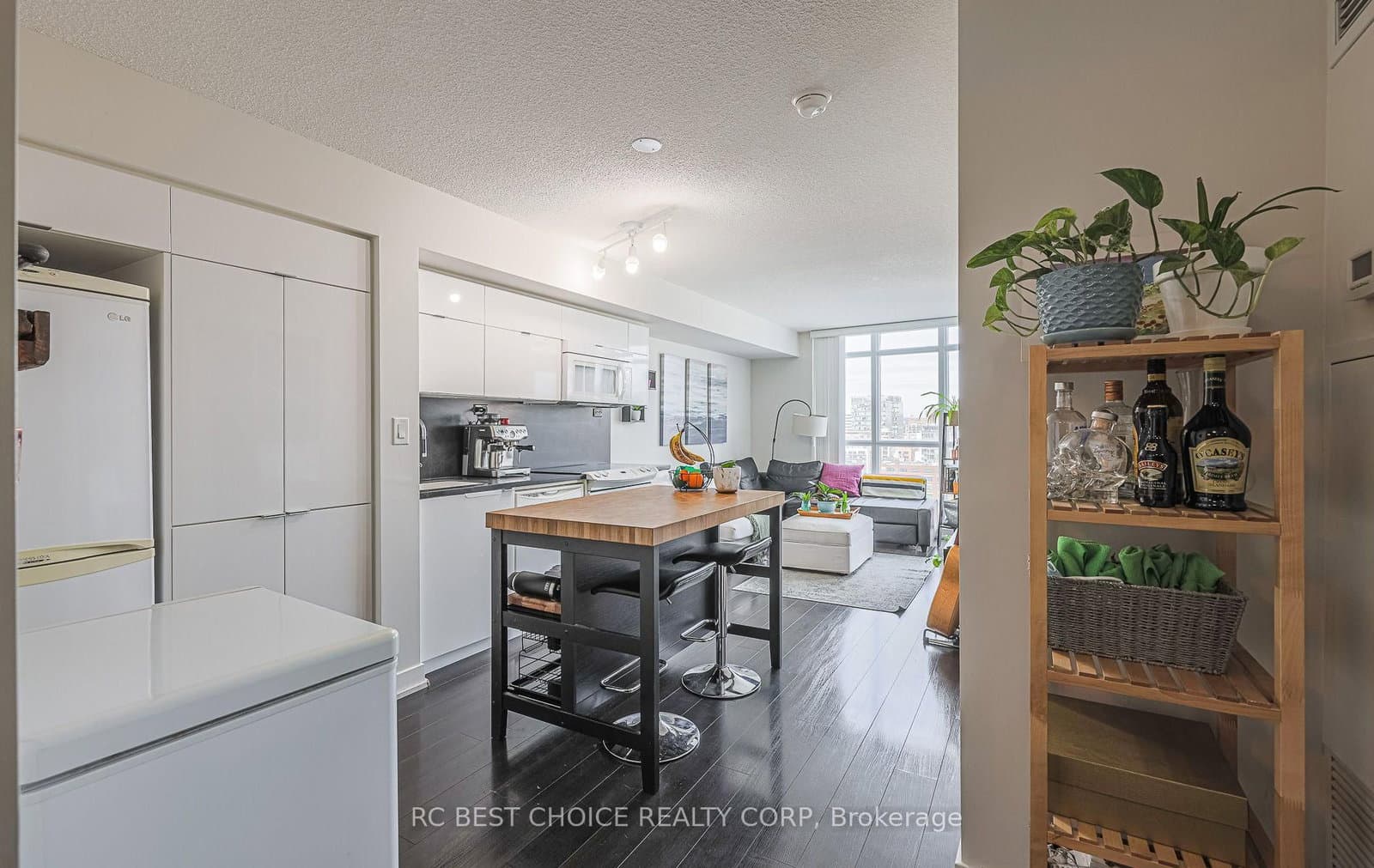 21 Iceboat Terrace N, Unit 1501 thumbnail 14