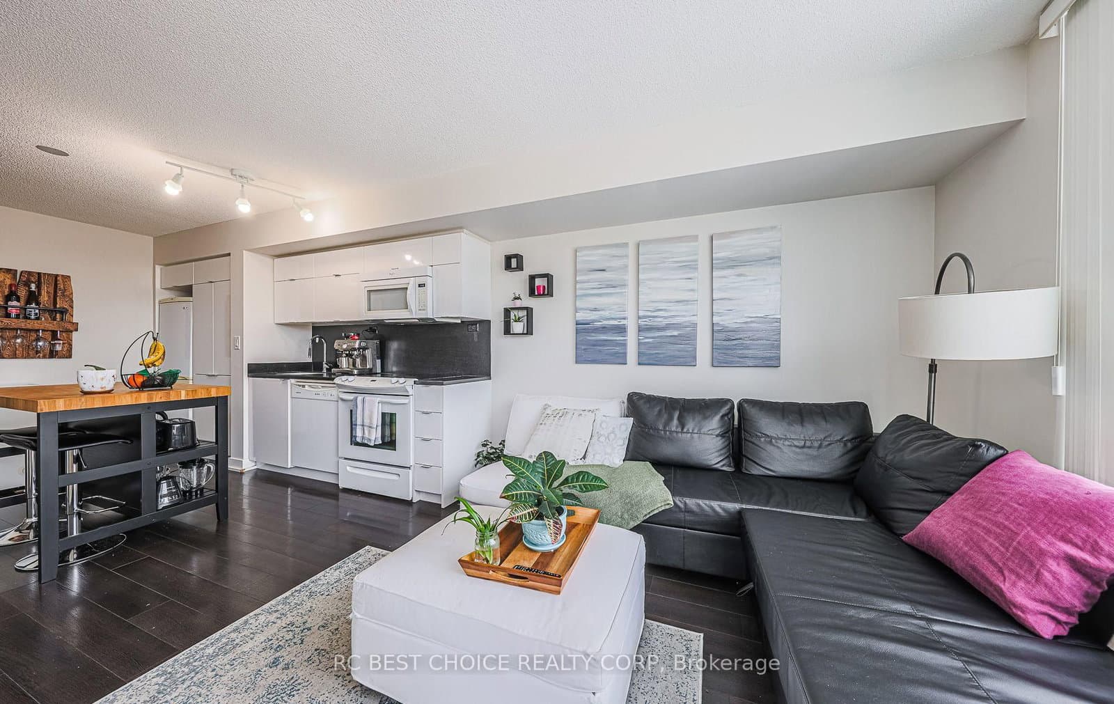 21 Iceboat Terrace N, Unit 1501 thumbnail 21