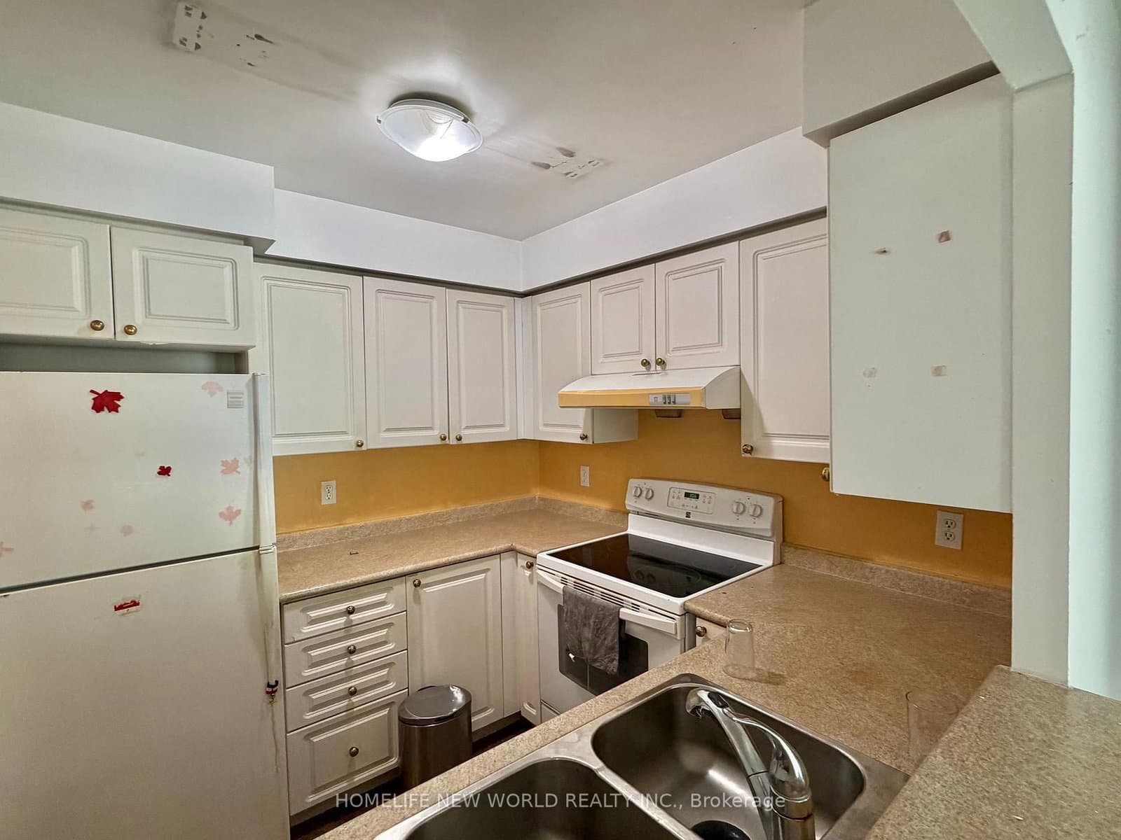 39 Pemberton Avenue, Unit 303 thumbnail 10