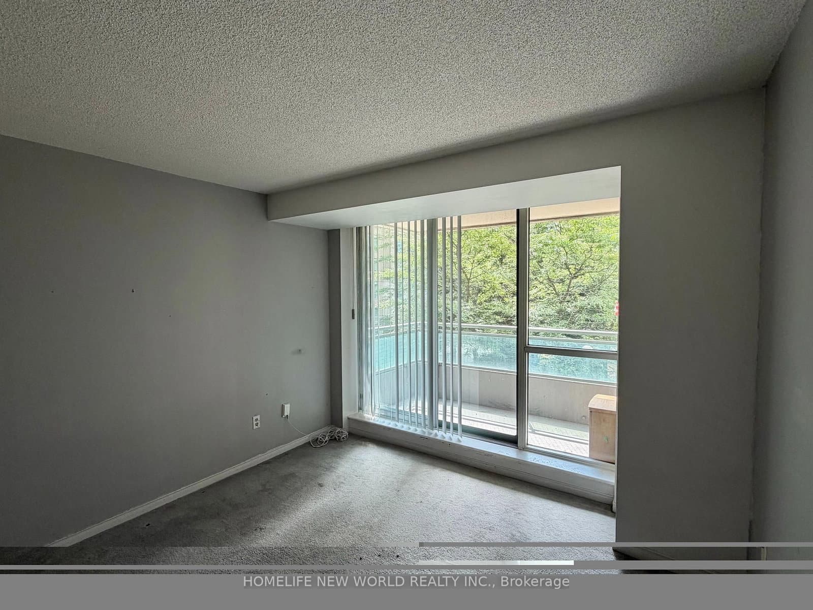 39 Pemberton Avenue, Unit 303 thumbnail 7
