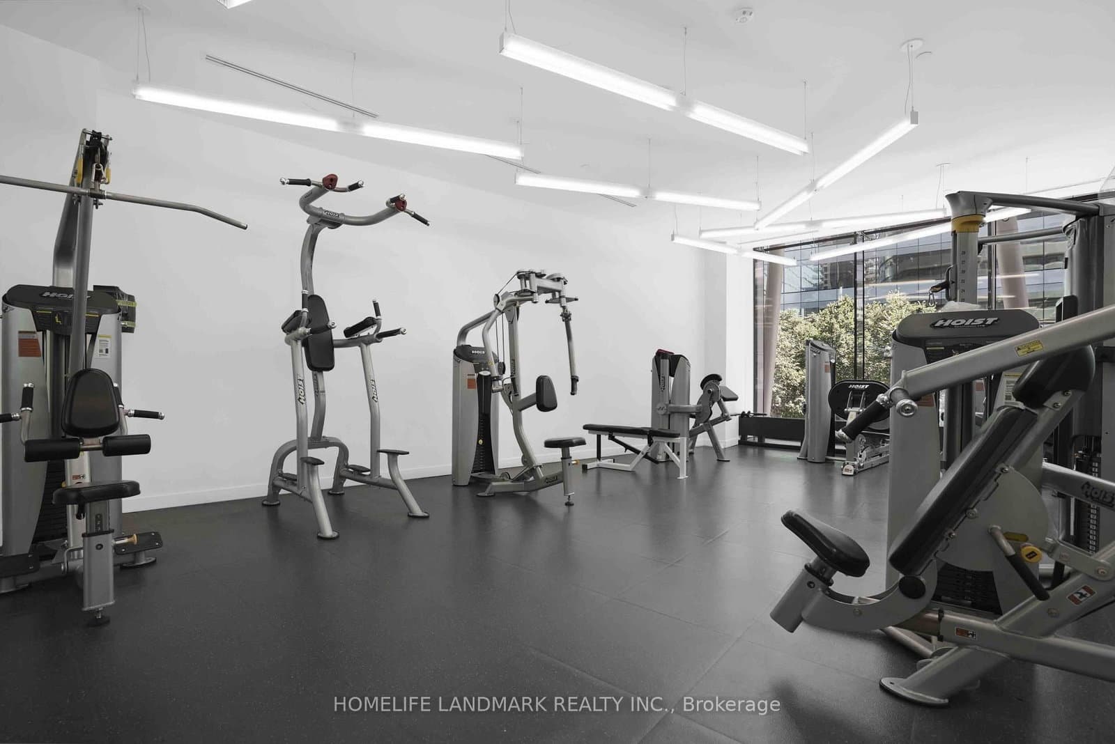 14 York Street, Unit 5207 thumbnail 26