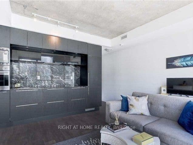 88 Blue Jays Way, Unit 1111 thumbnail 15