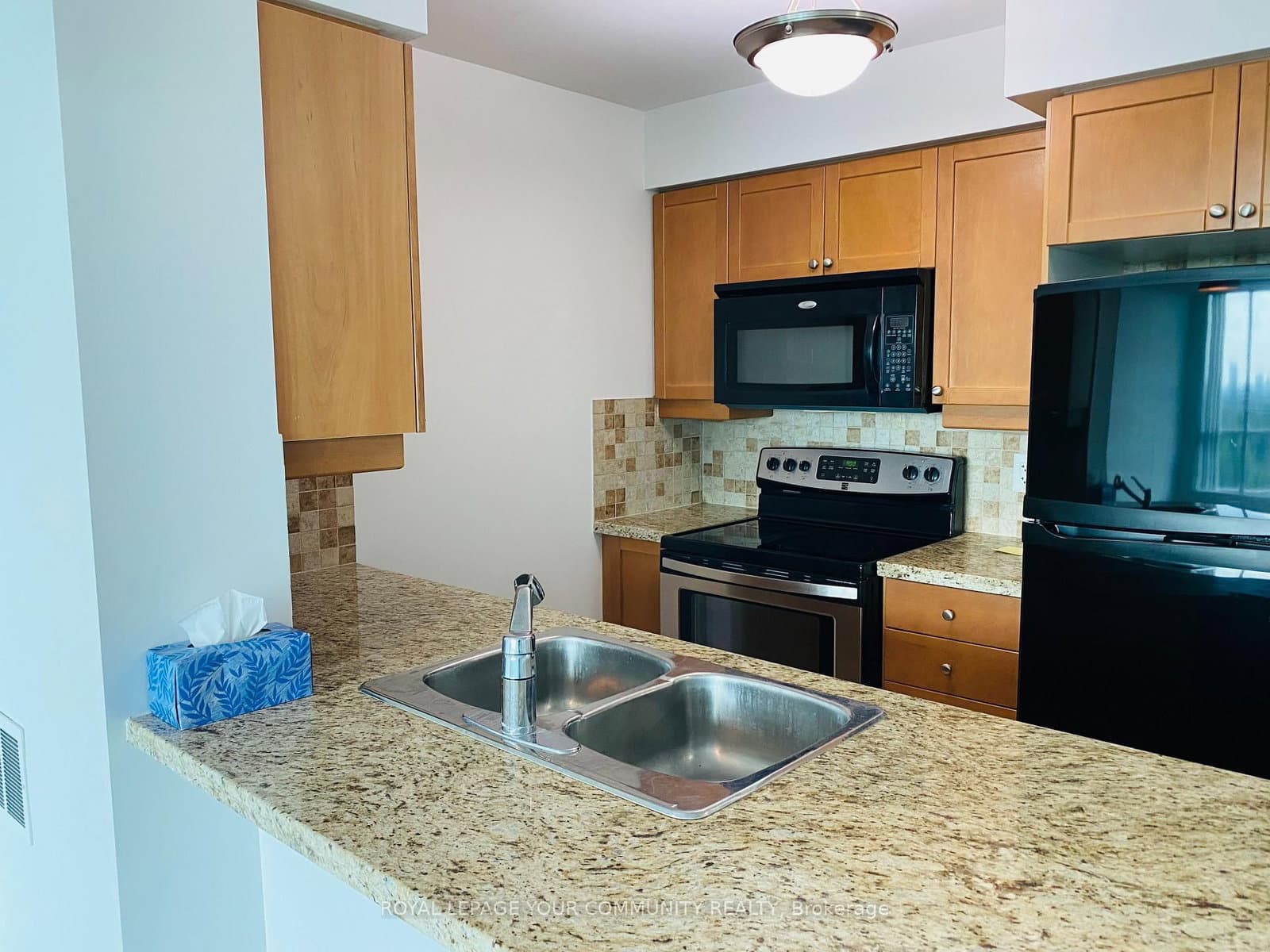 25 Greenview Avenue, Unit 1017 thumbnail 17