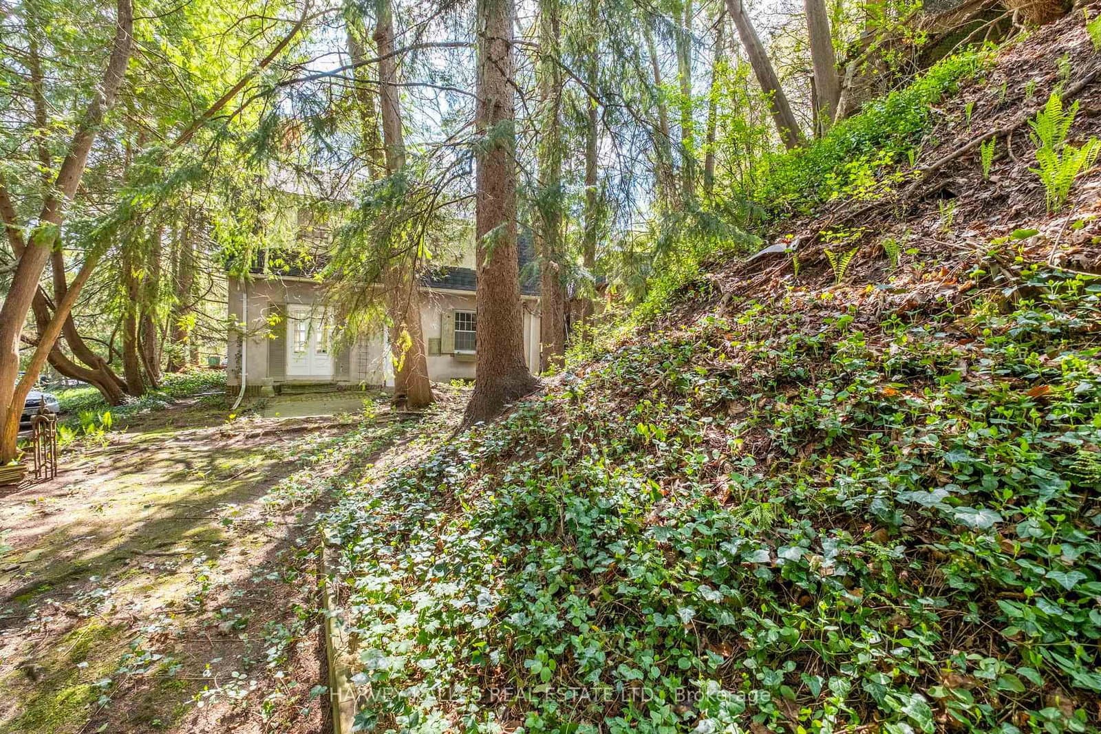 38 Donwoods Drive thumbnail 30