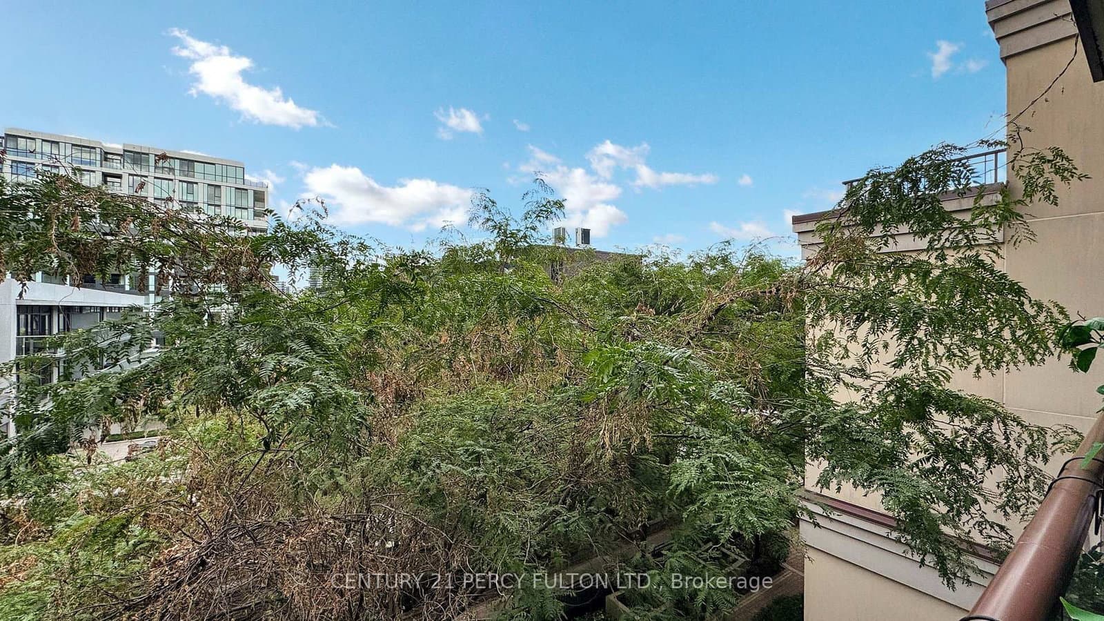 23 Rean Drive, Unit 405 thumbnail 27