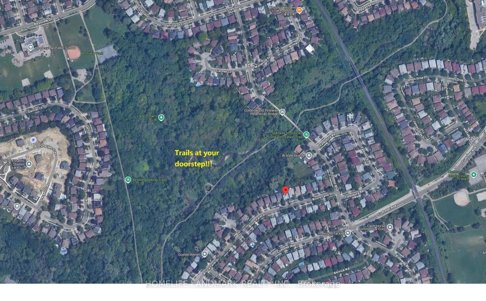 50 Bruce Farm Drive thumbnail 47