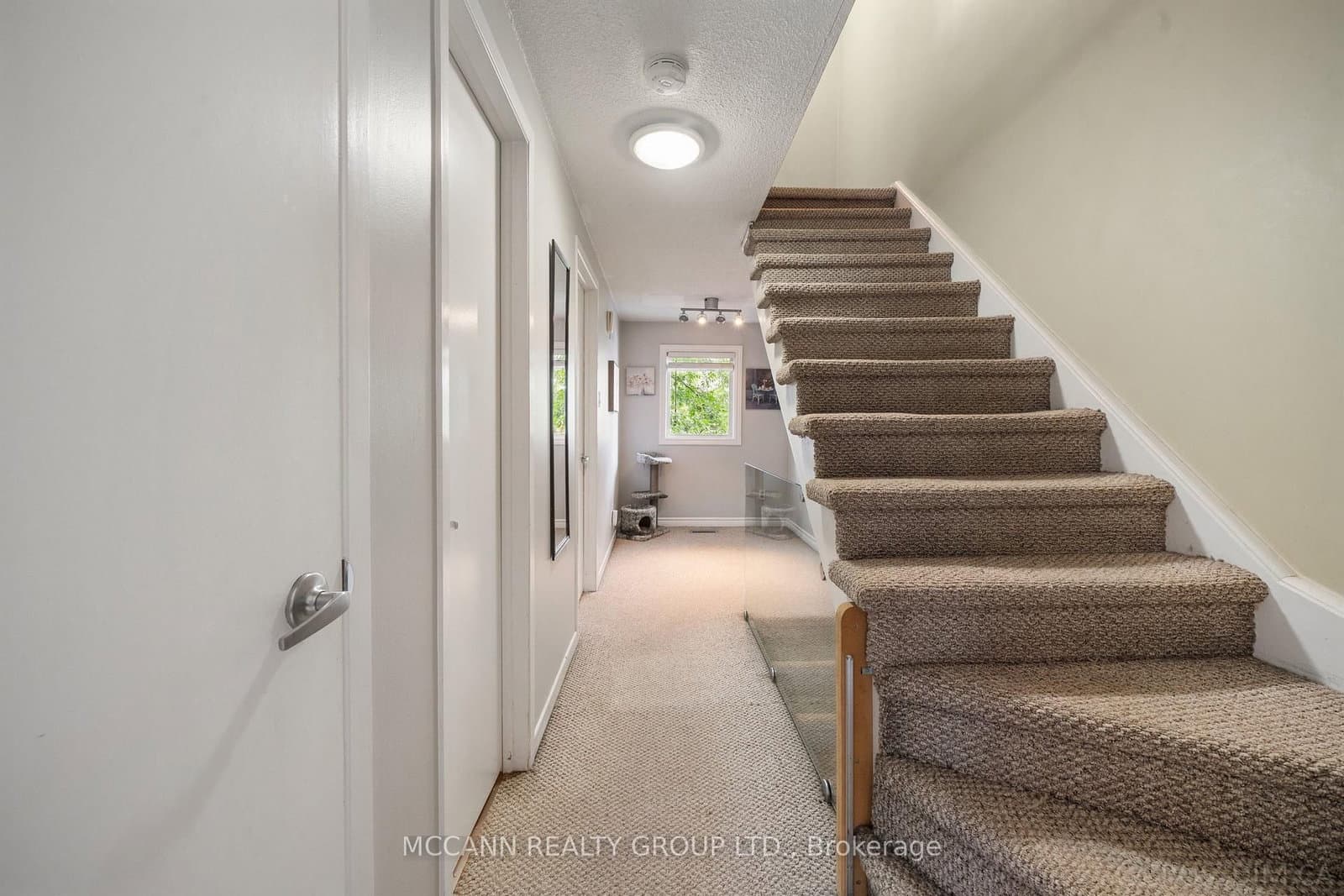 17 Sydenham Street thumbnail 17