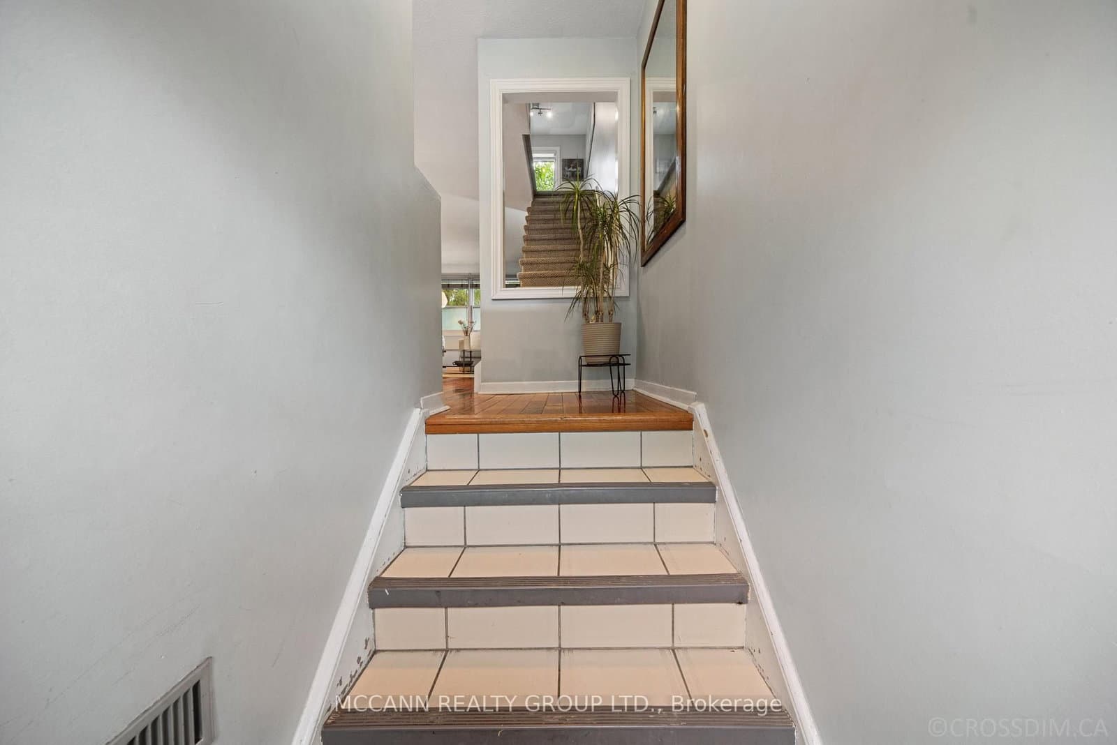 17 Sydenham Street thumbnail 6