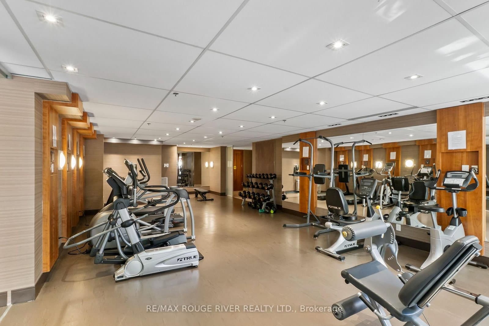 205 Frederick Street, Unit 704 thumbnail 36