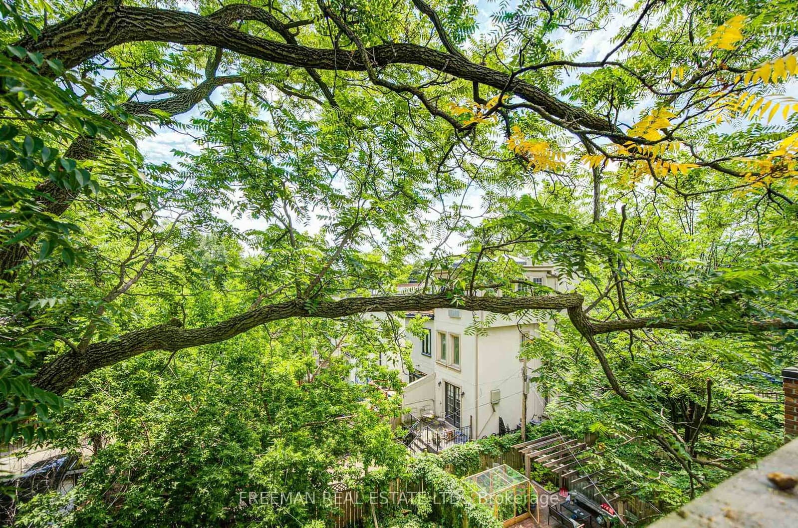 63 Sussex Avenue thumbnail 33