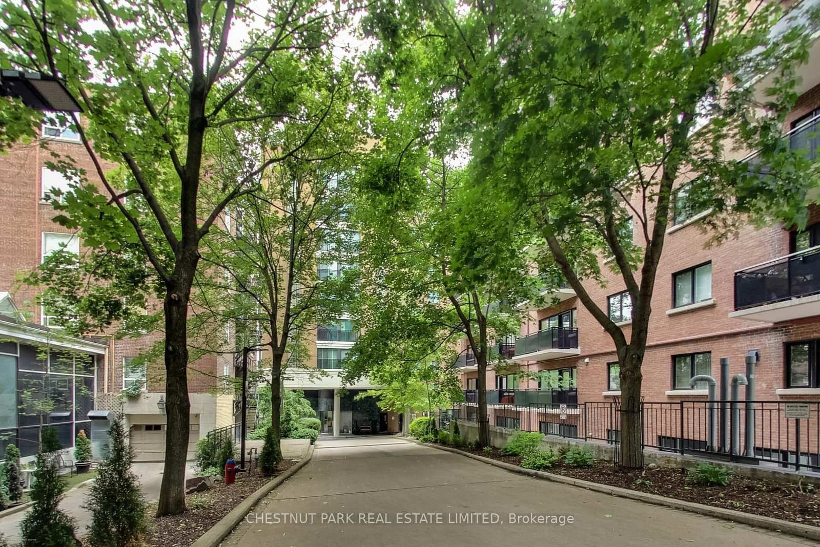 97 Lawton Boulevard, Unit 201 thumbnail 2
