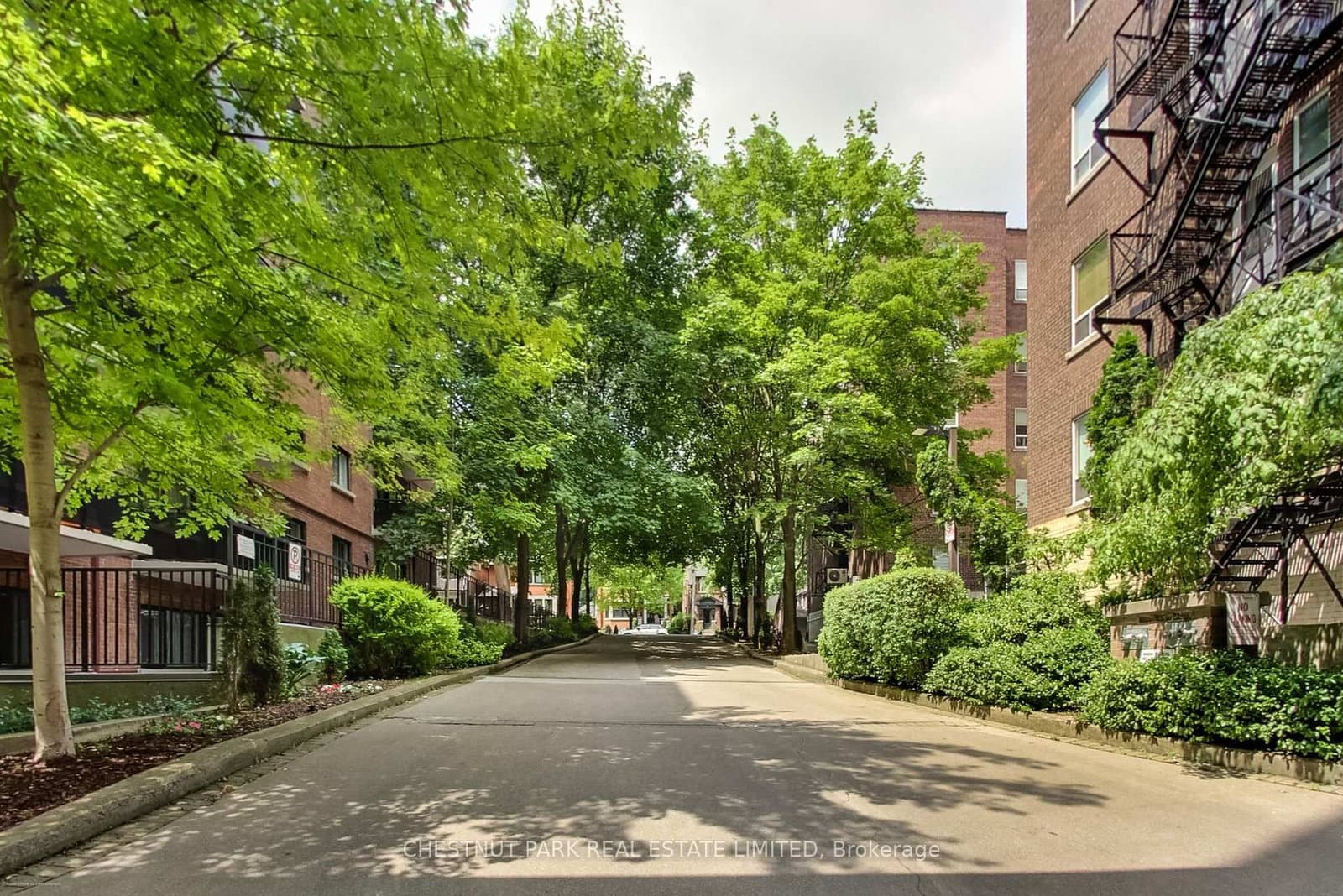 97 Lawton Boulevard, Unit 201 thumbnail 3