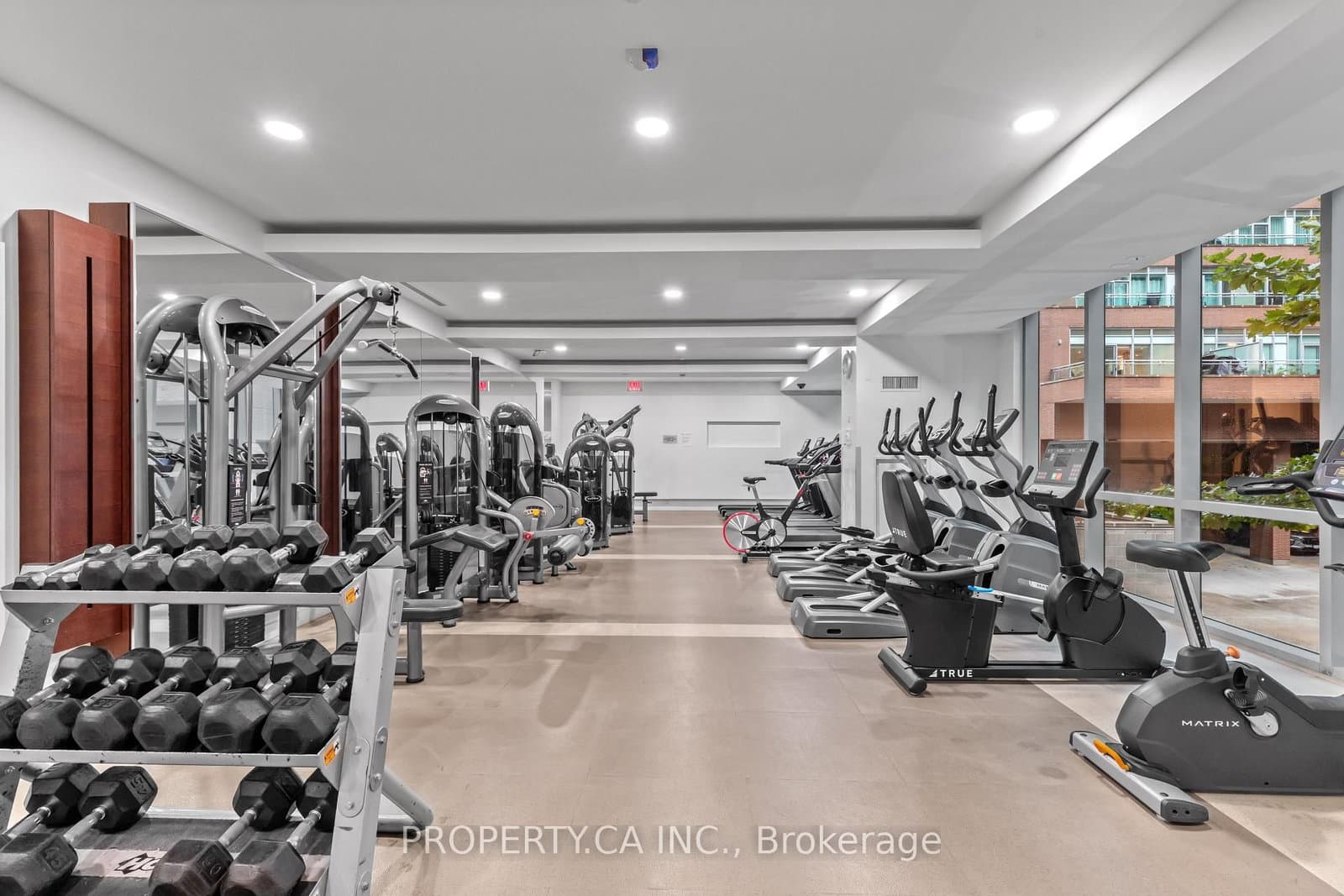 116 George Street, Unit 1204 thumbnail 23