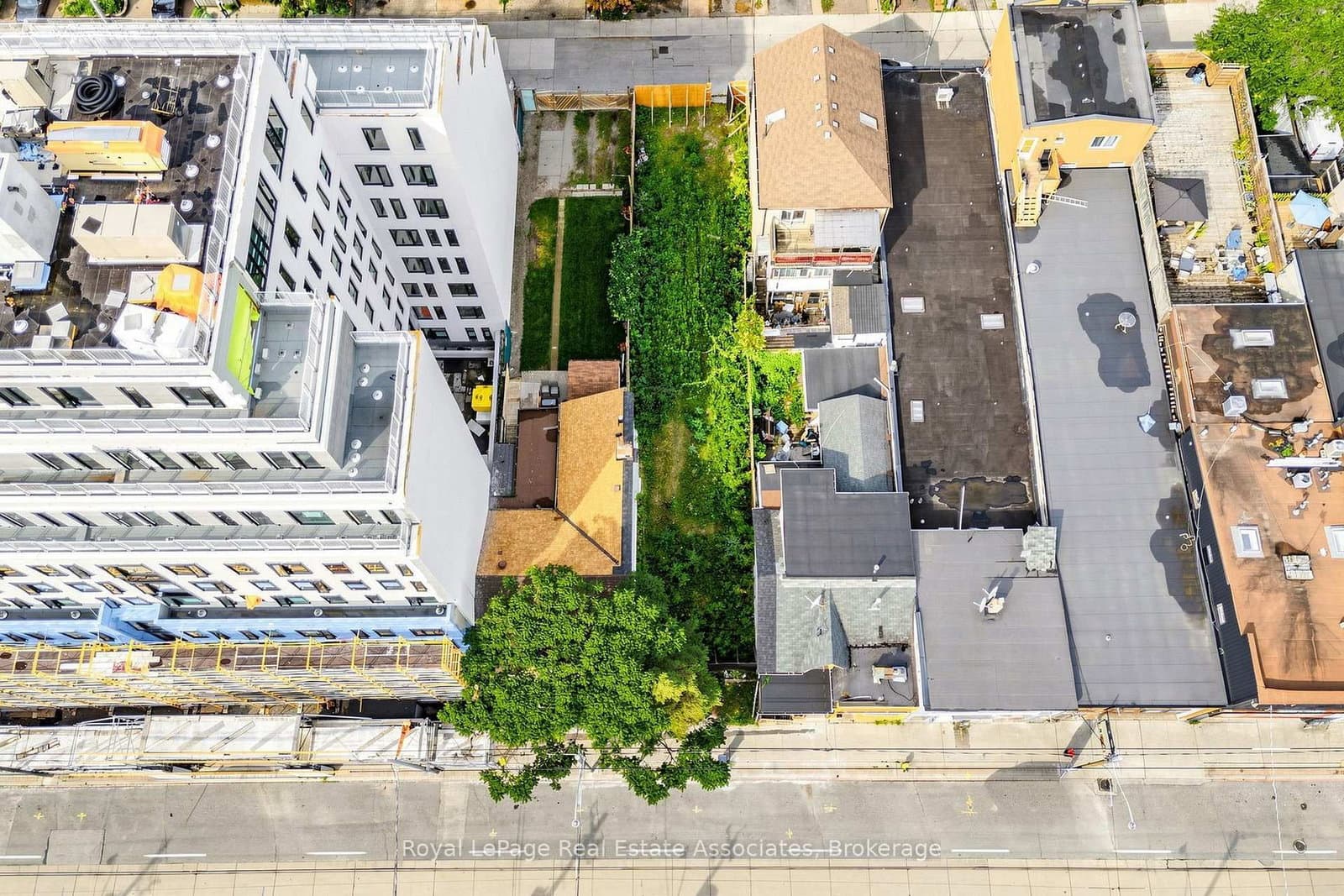 258 Parliament Street thumbnail 5
