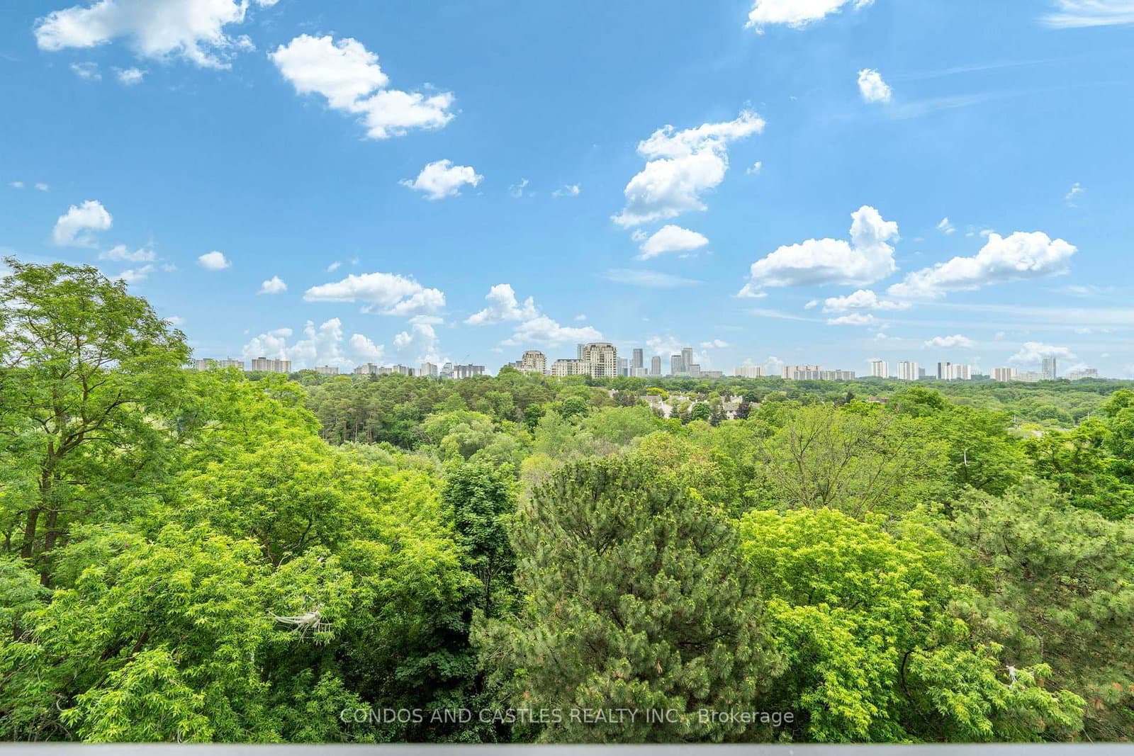29 Green Trail Court, Unit 501 thumbnail 36