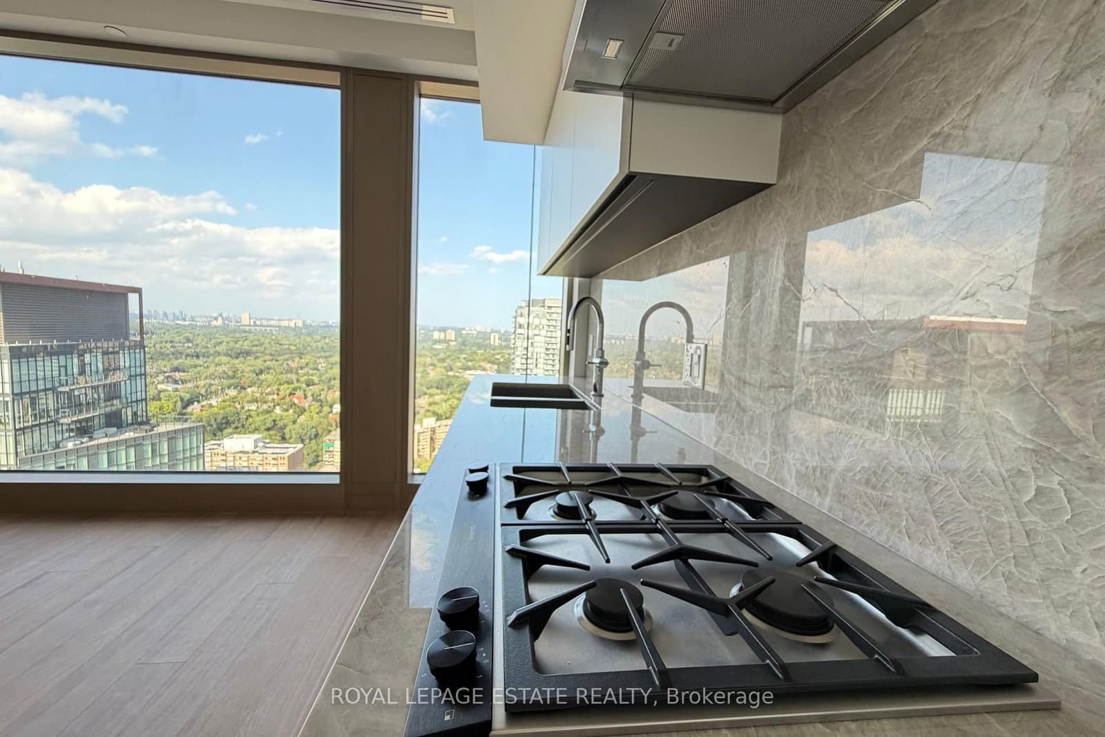 1315 Bay Street, Unit 3101 thumbnail 29