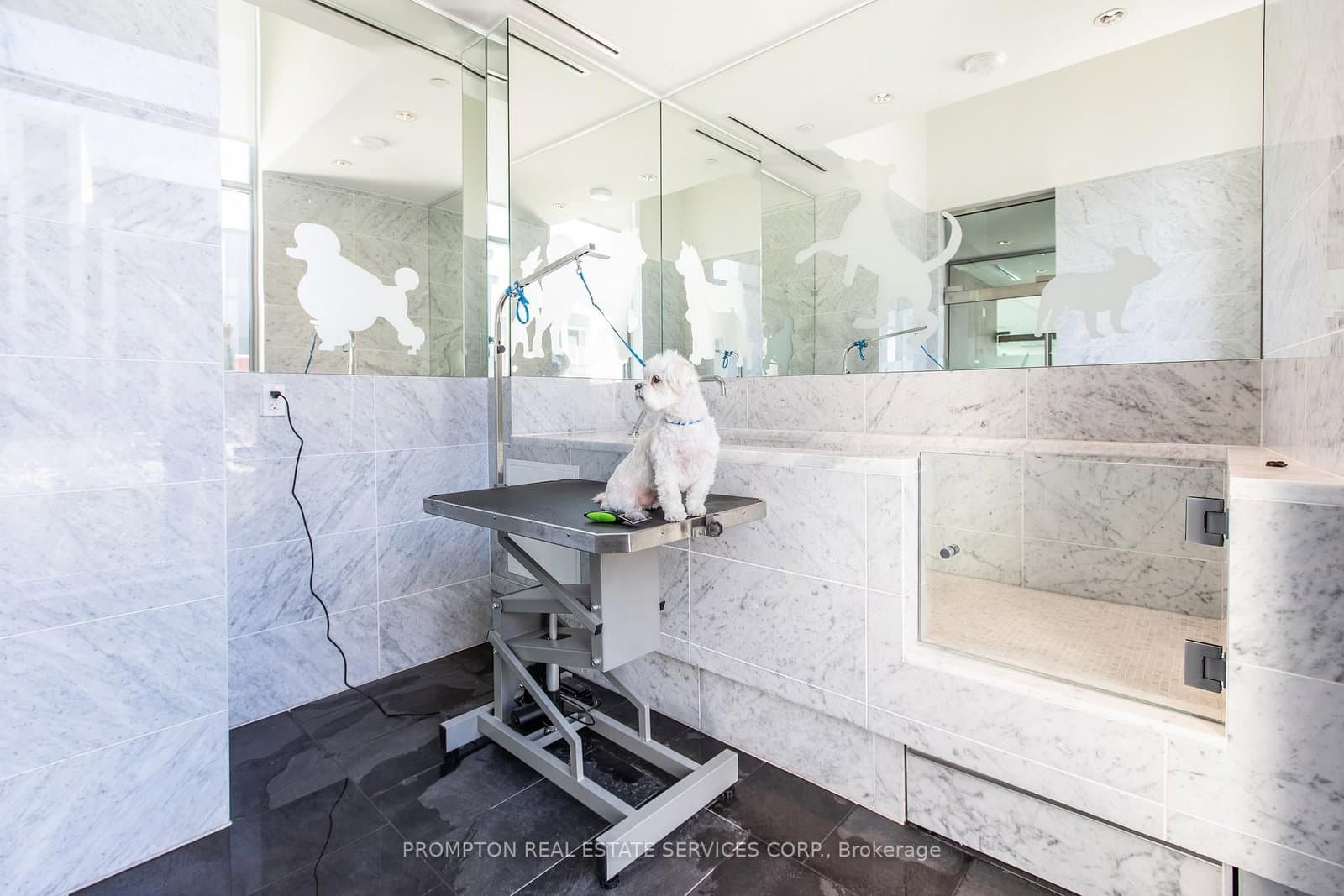 115 Mcmahon Drive, Unit 2511 thumbnail 39