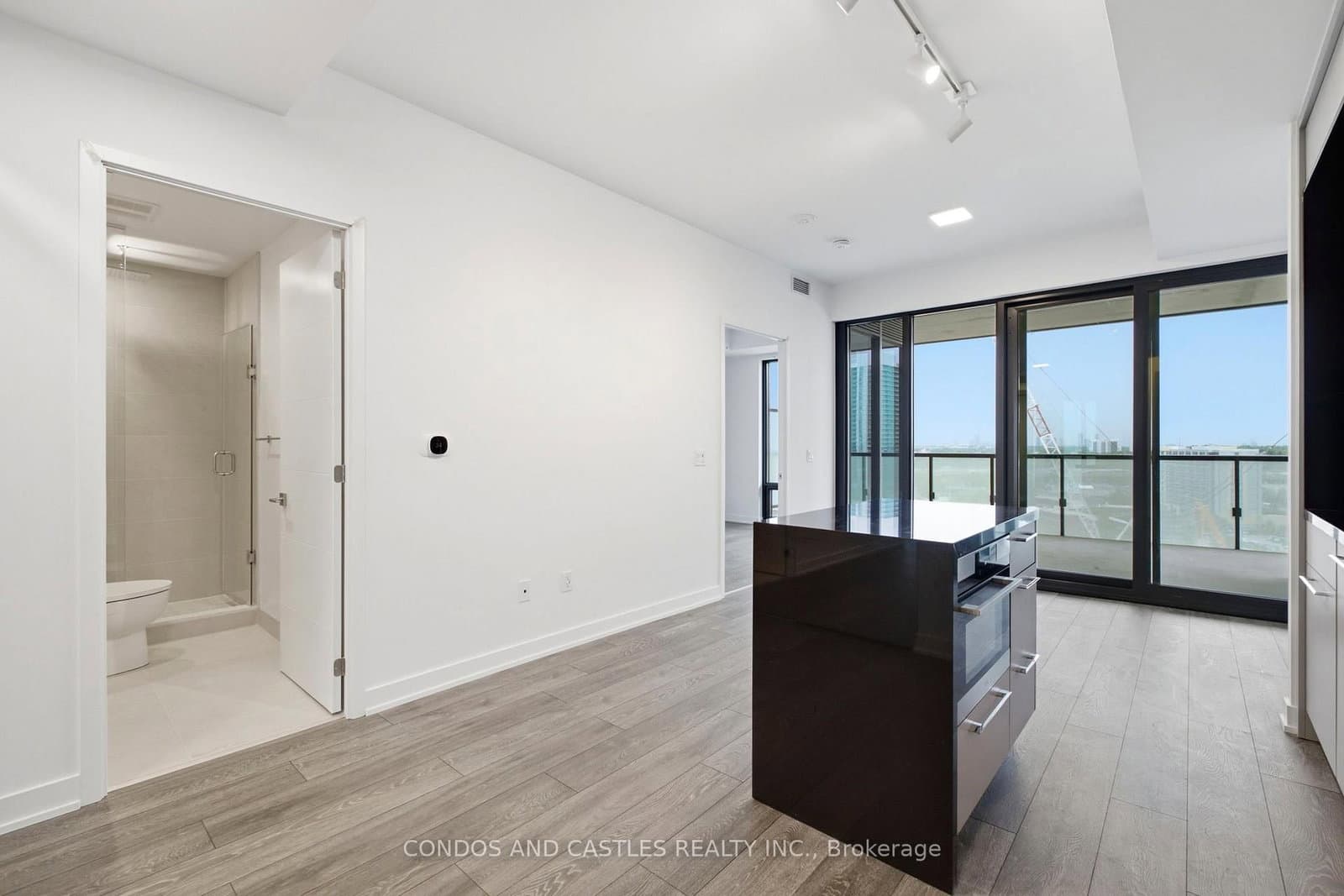 29 Green Trail Court, Unit 1511 thumbnail 46