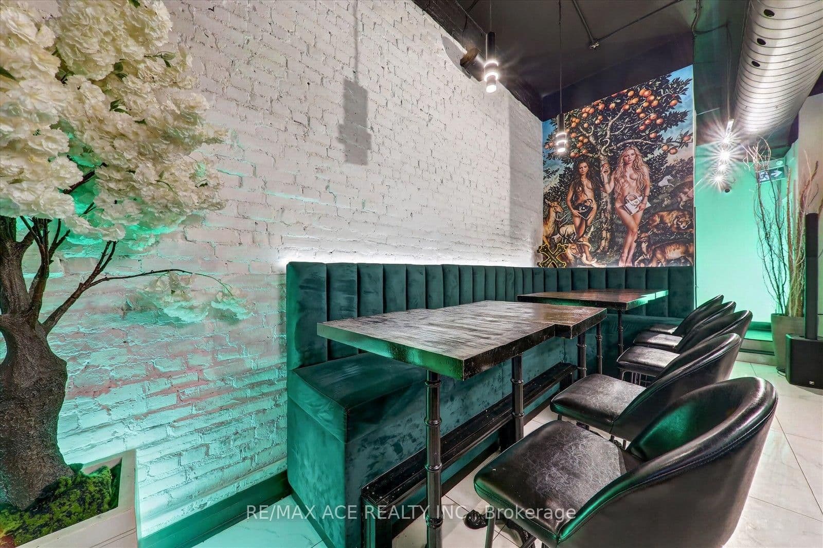 502 Queen Street W thumbnail 17